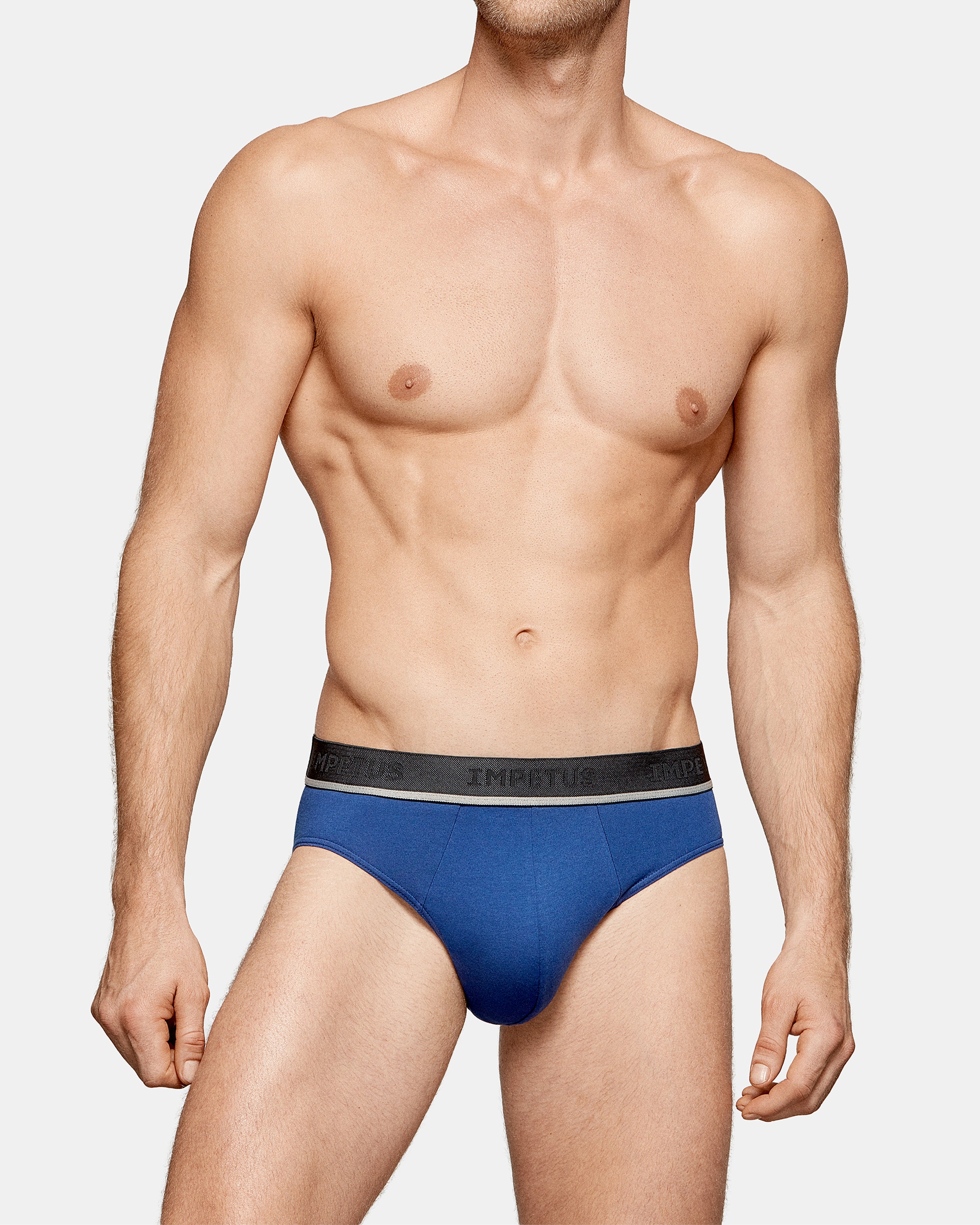 Pack of 2 men's briefs Cotton Stretch