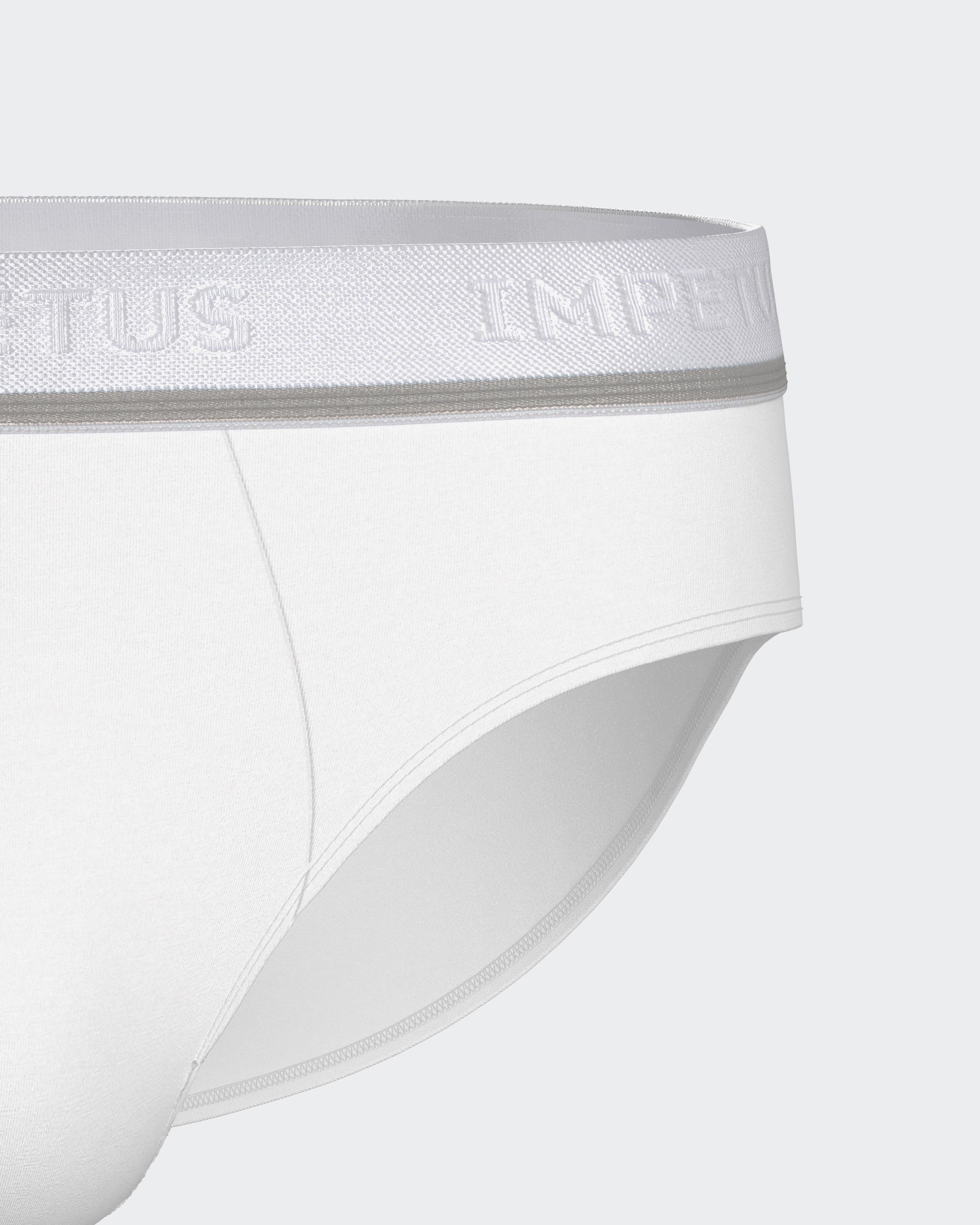 Pack of 2 men's briefs Cotton Stretch