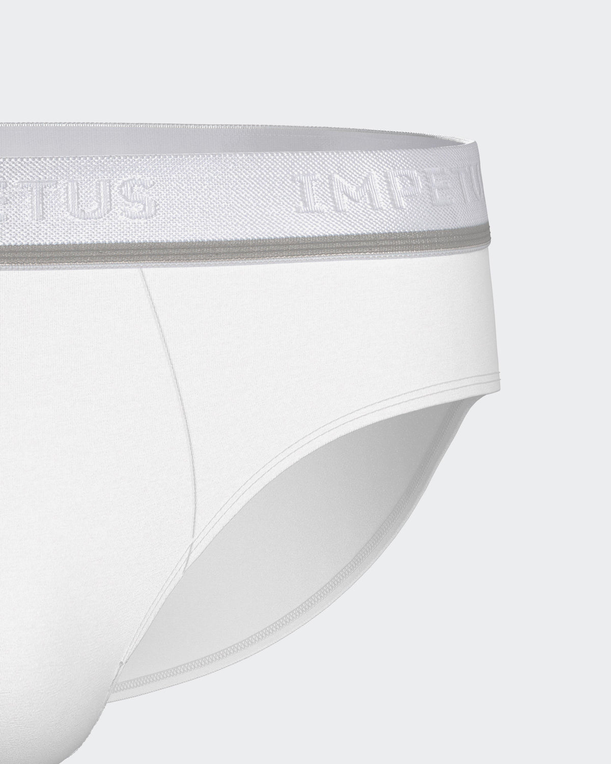 Pack of 2 men's briefs Cotton Stretch