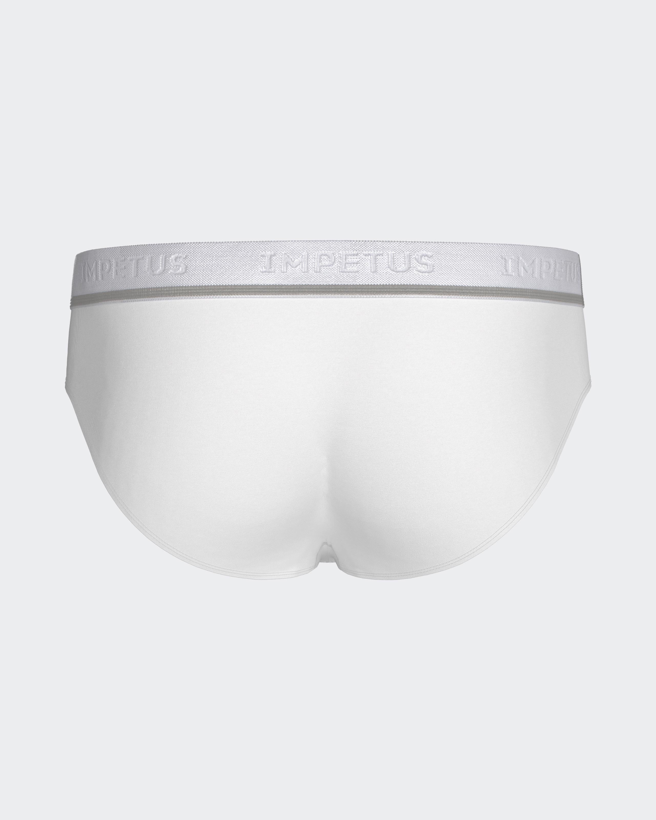 Pack of 2 men's briefs Cotton Stretch