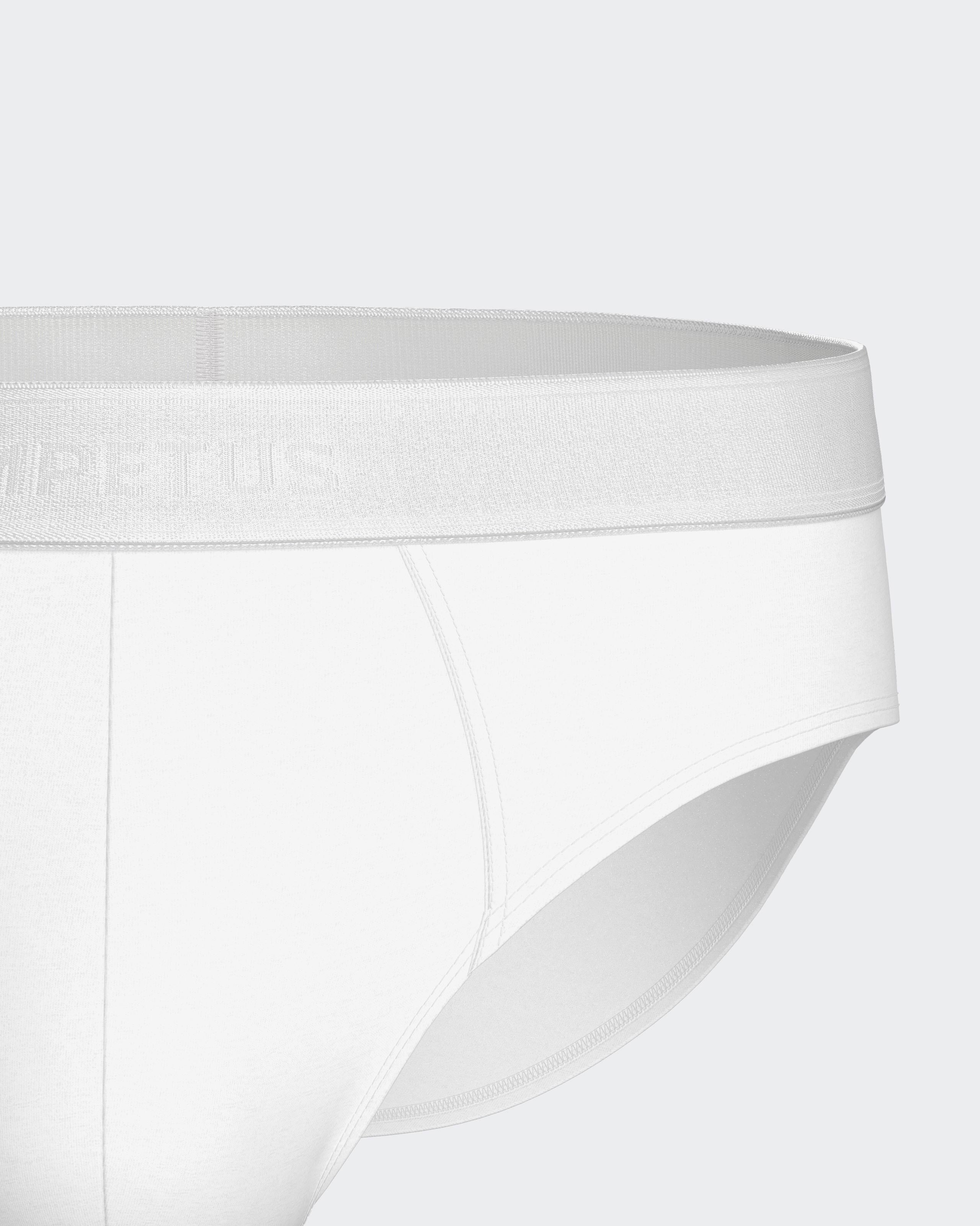 Men's brief Executive