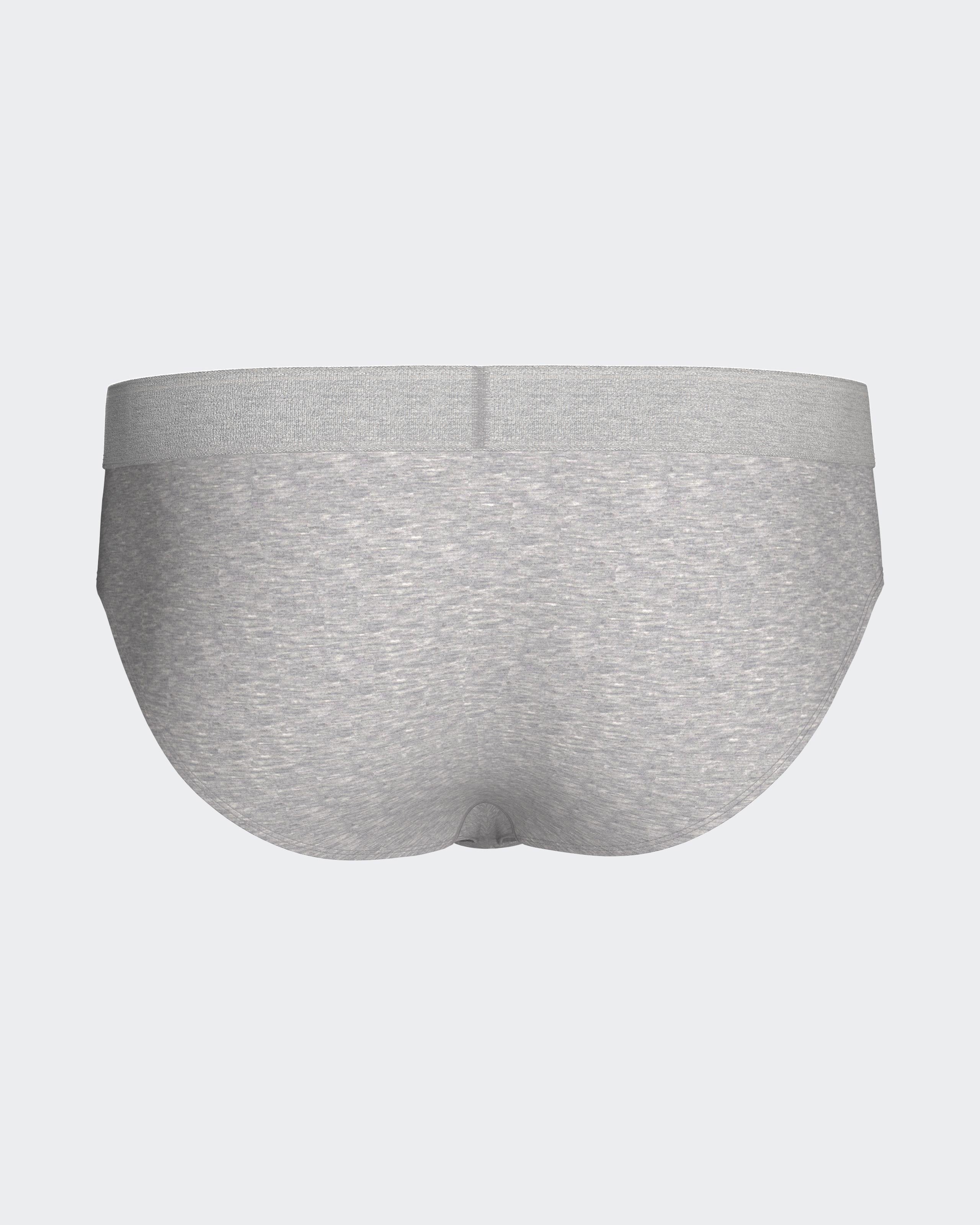 Men's brief Executive
