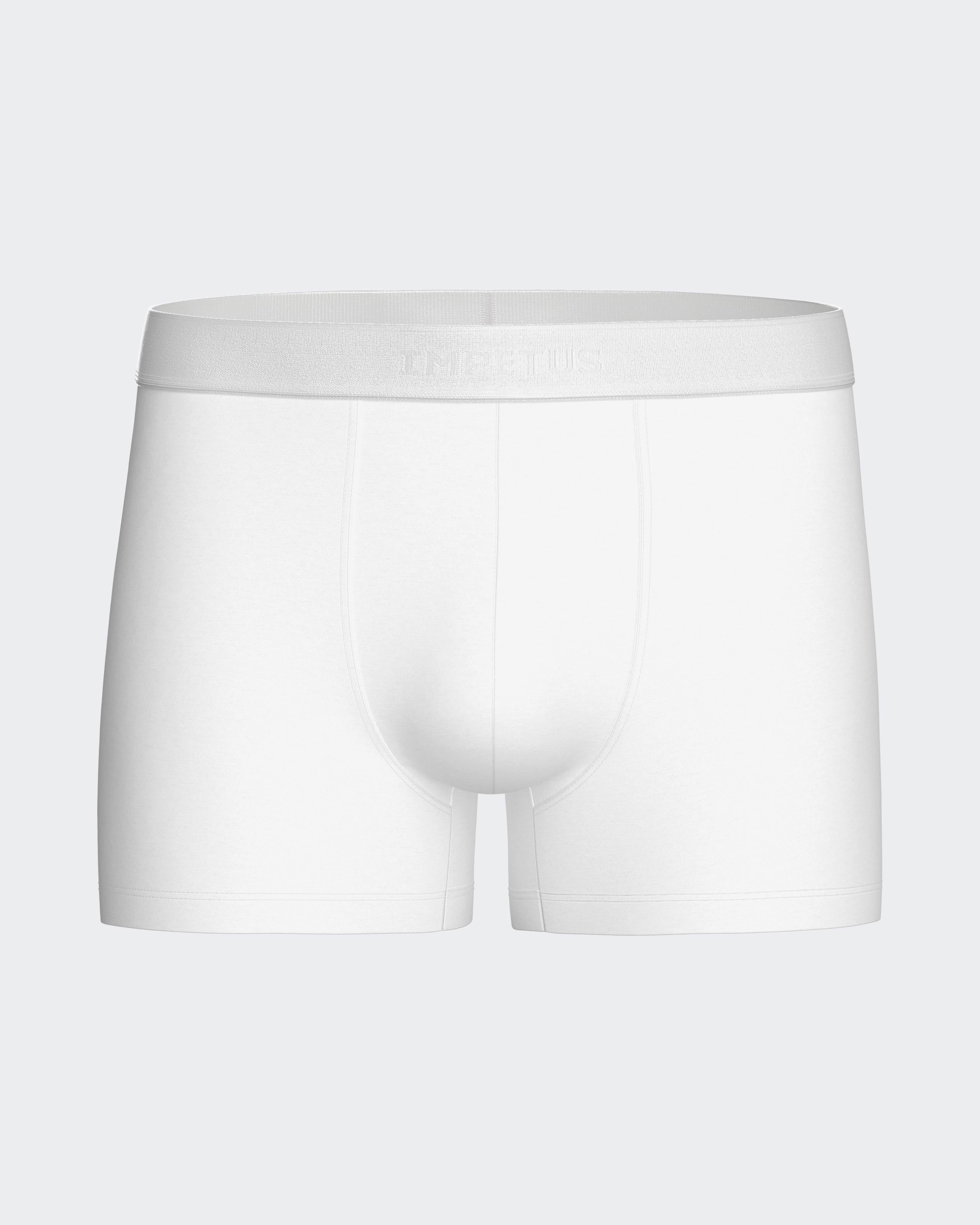 Boxer de hombre Executive
