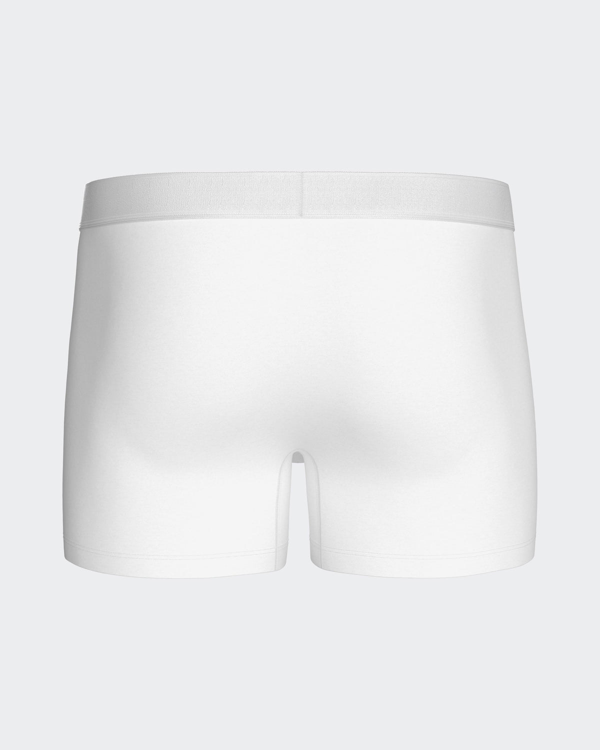 Boxer Executive