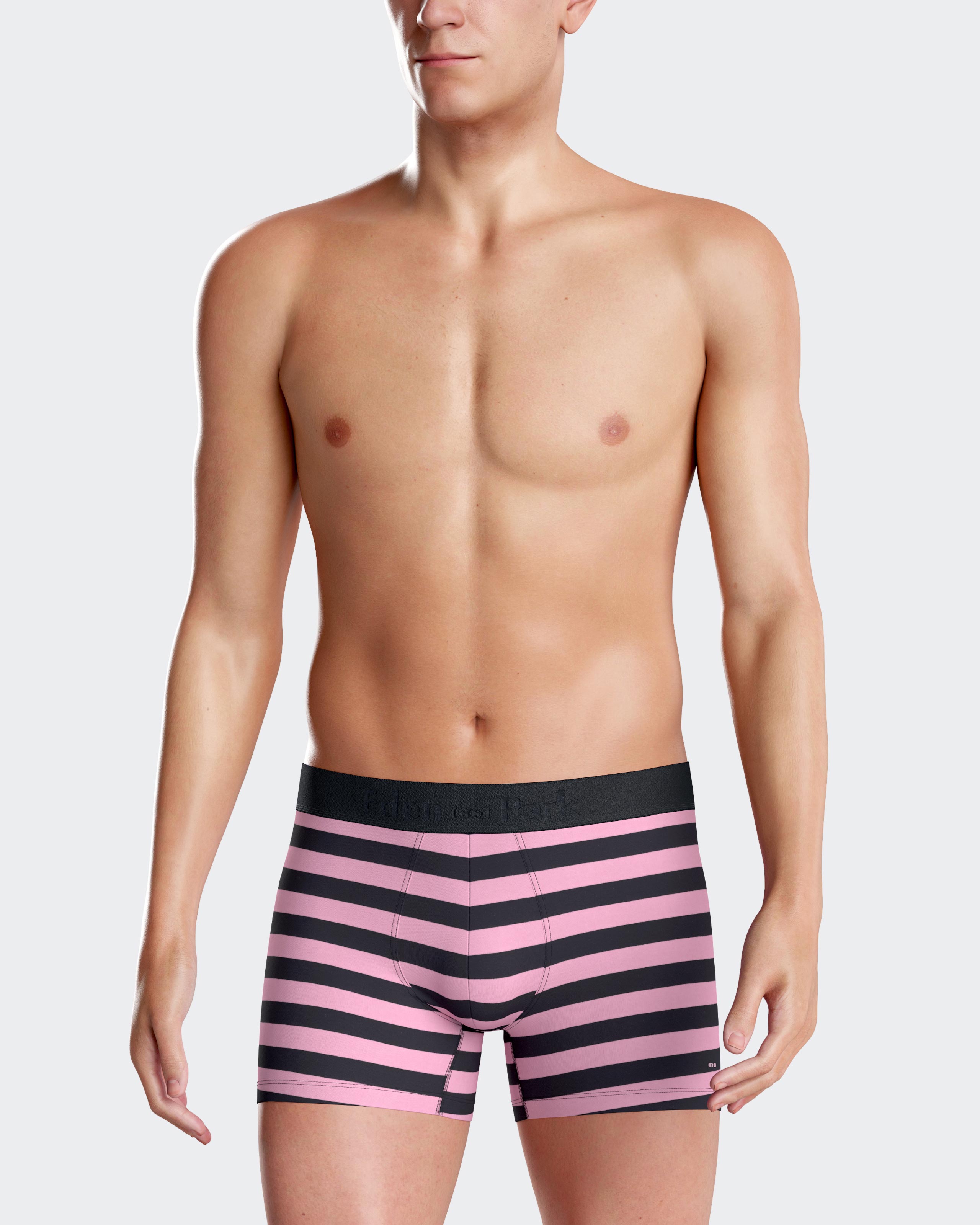 Eden Park striped boxer