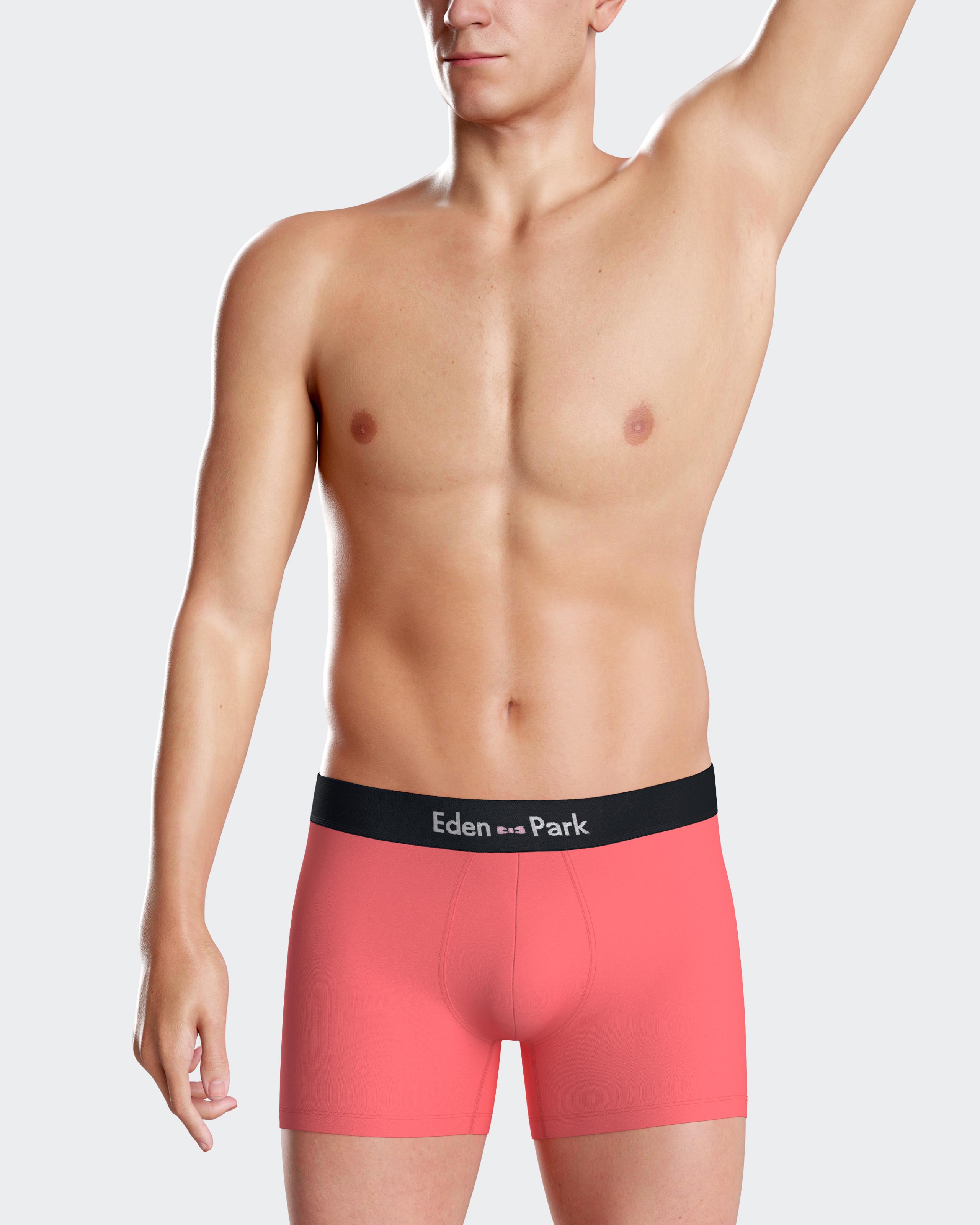 Pack 2 boxers lisos Eden Park