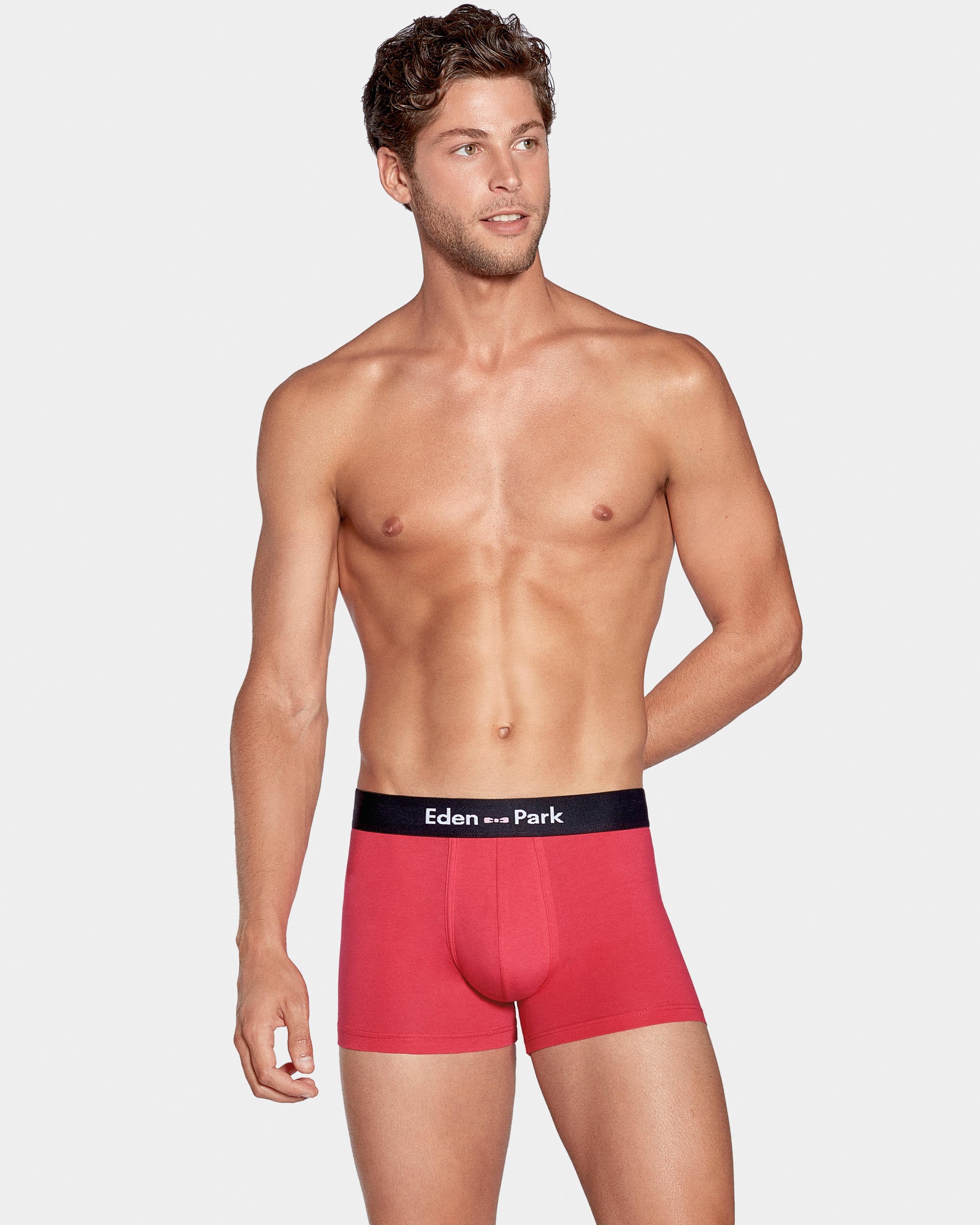 Pack 2 boxers lisos Eden Park