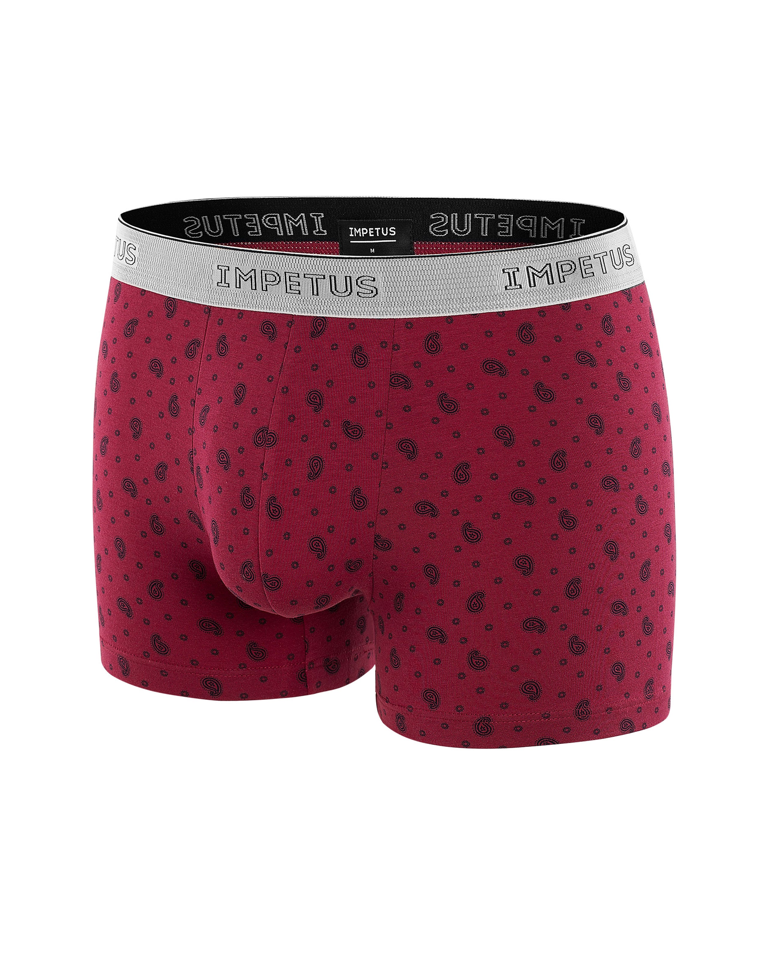Boxer Paisley Print - G51