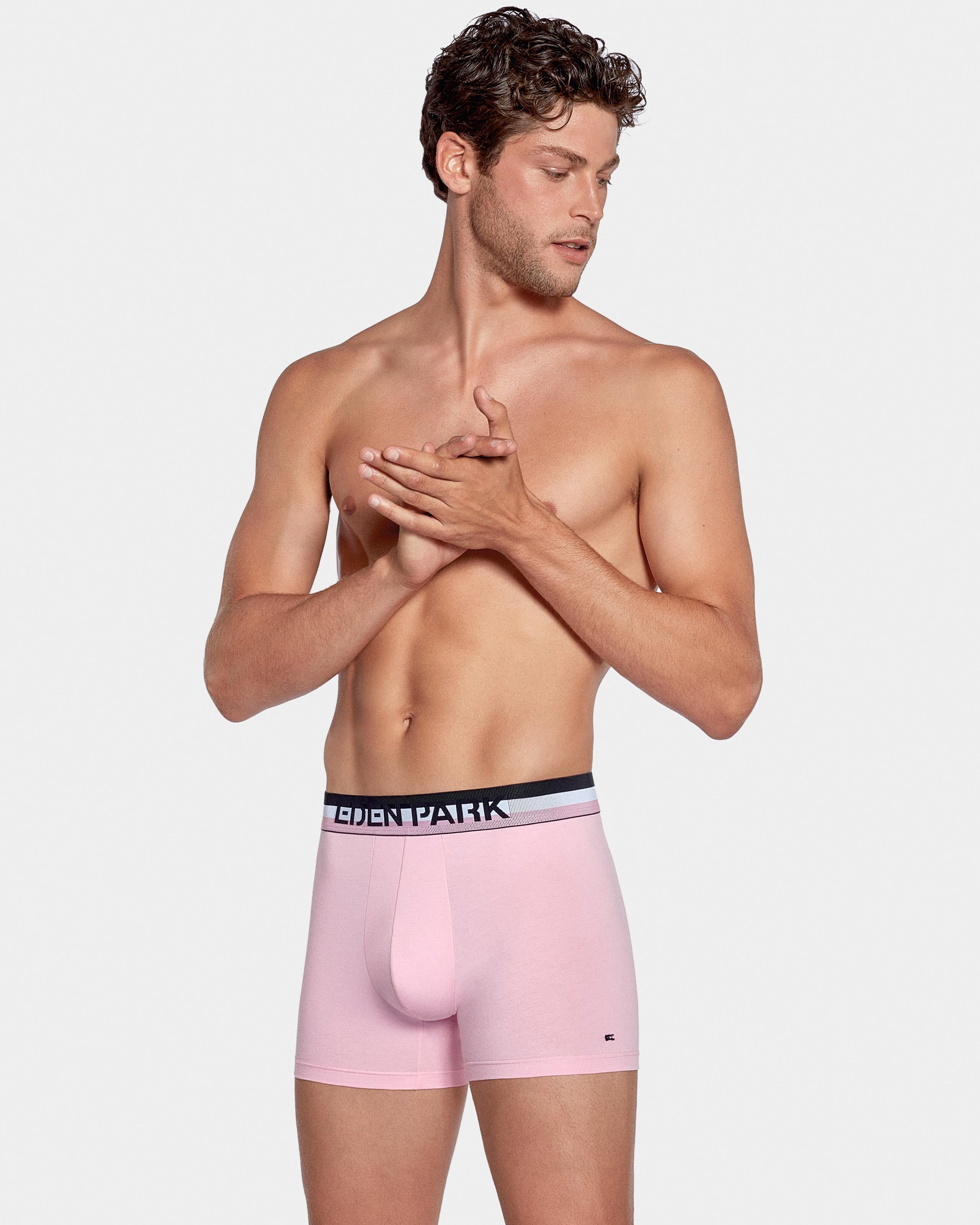Pack de dois boxers Eden Park