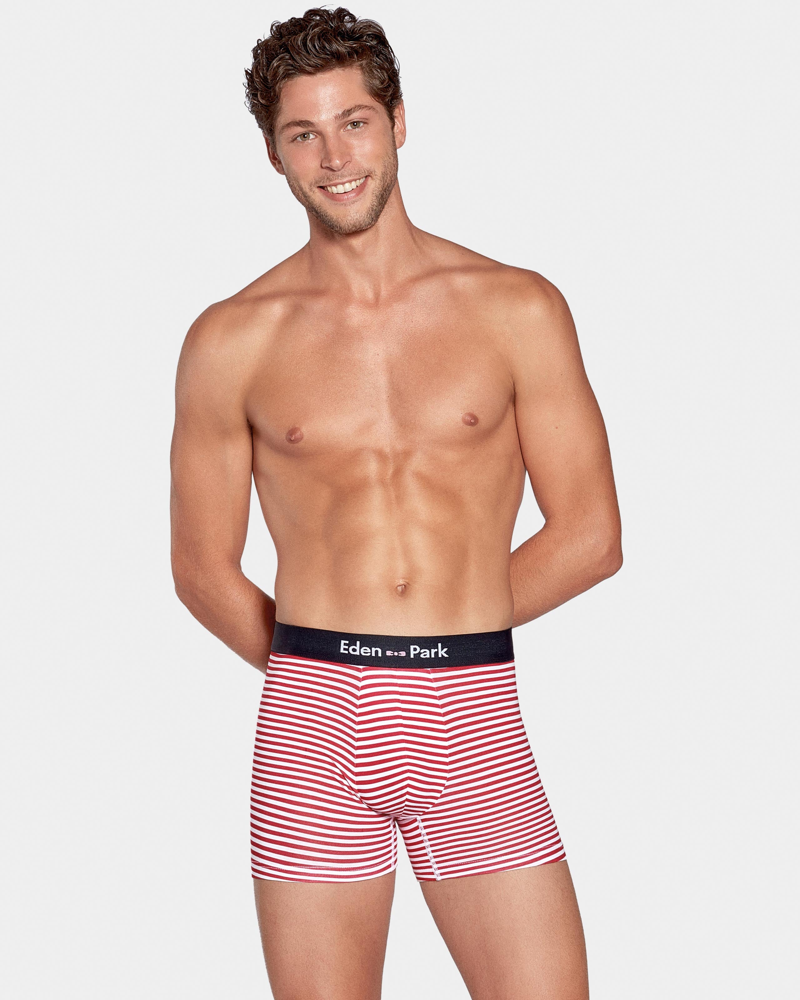 Pack of 2 Boxers Eden Park