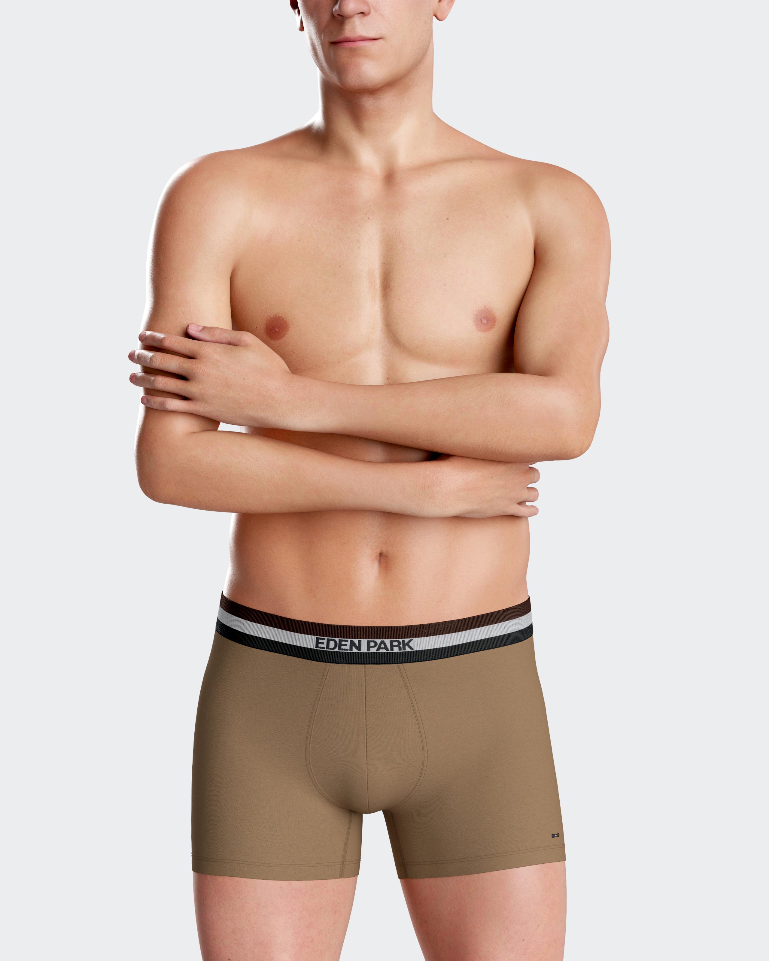 Pack of 2 Eden Park plain boxers