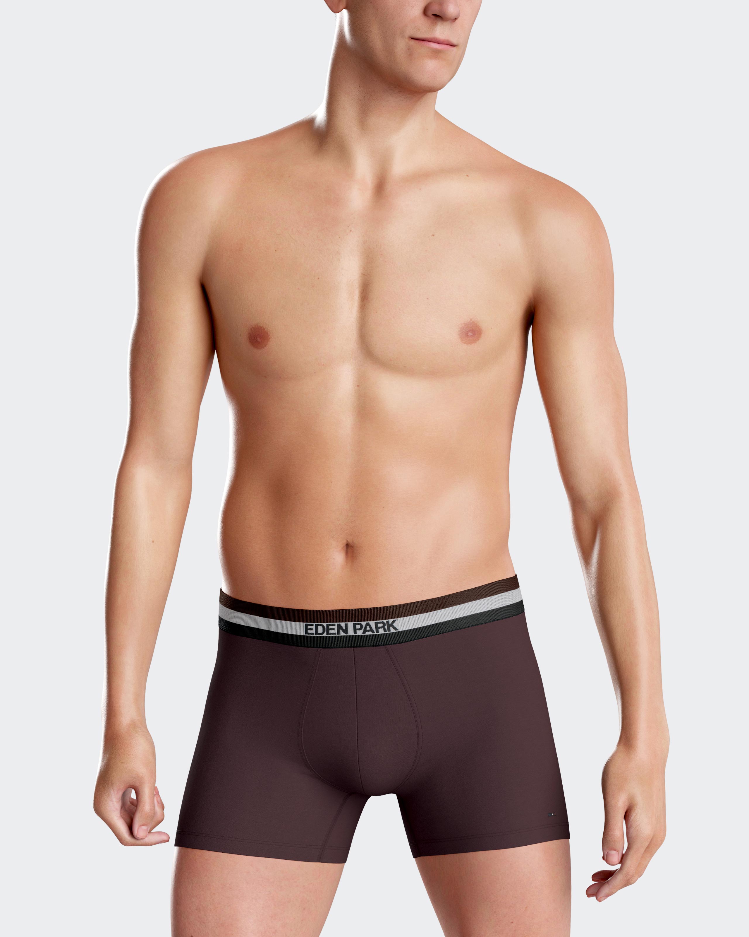 Pack 2 Boxers lisos Eden Park