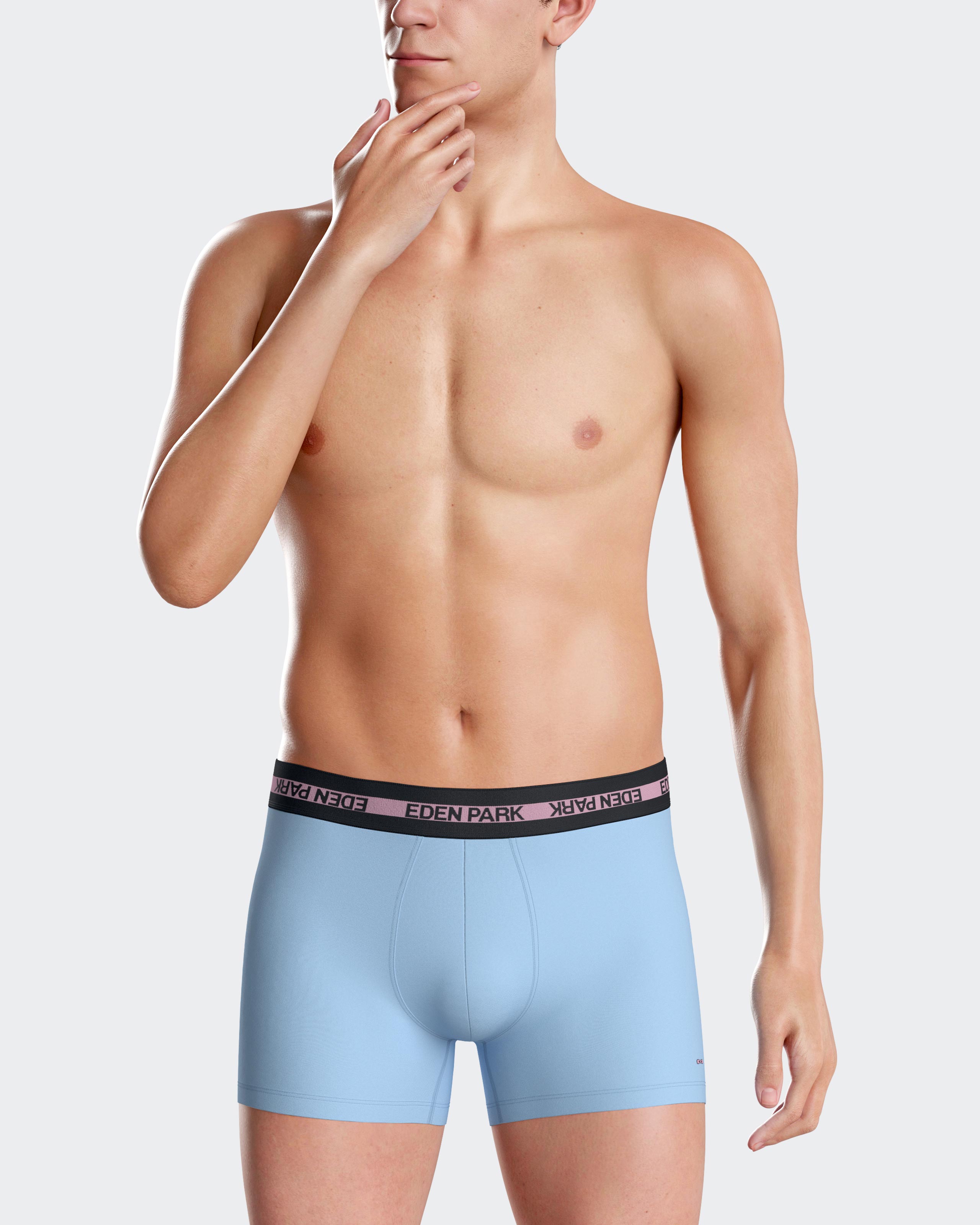 Boxer liso Eden Park