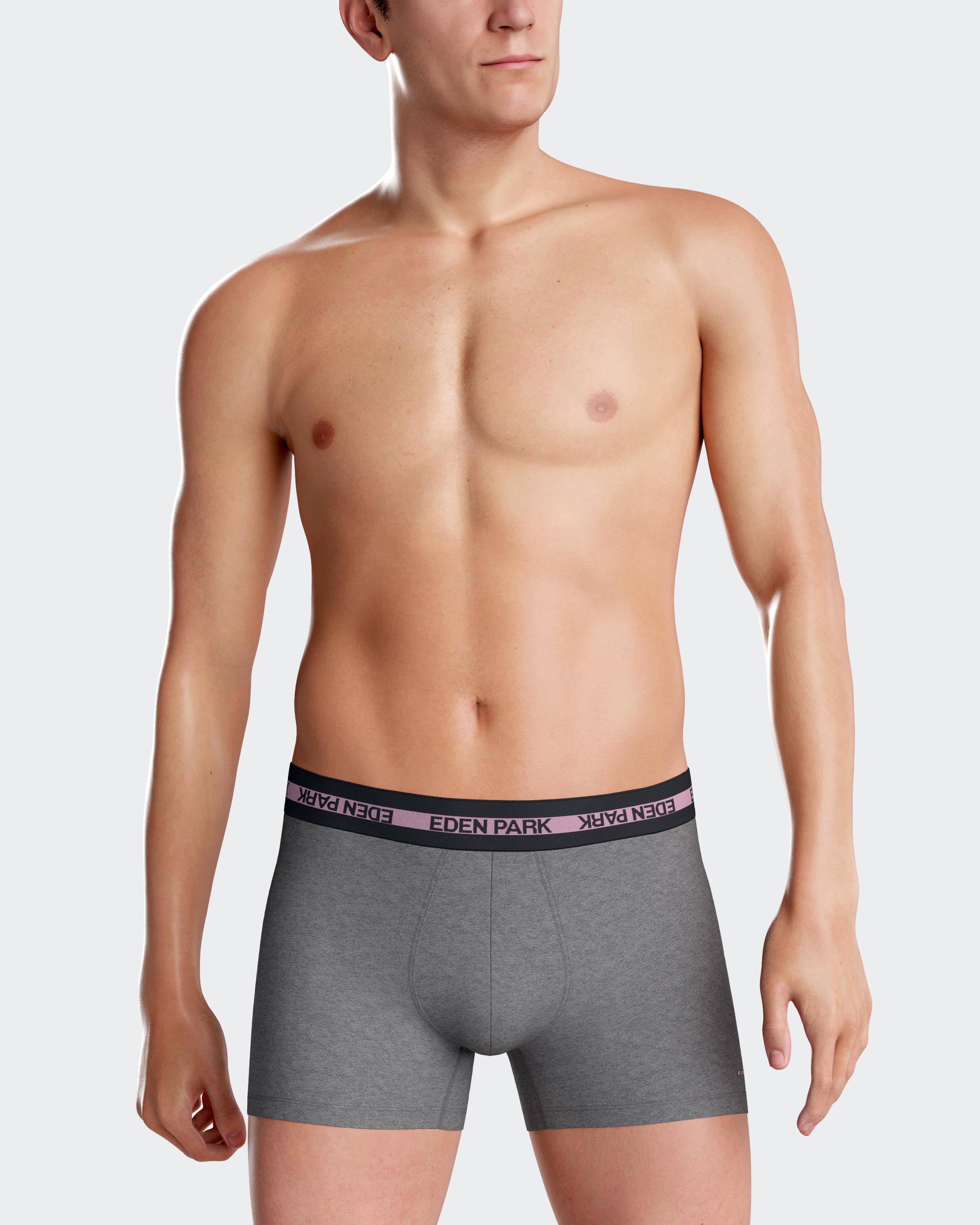 Boxer liso Eden Park