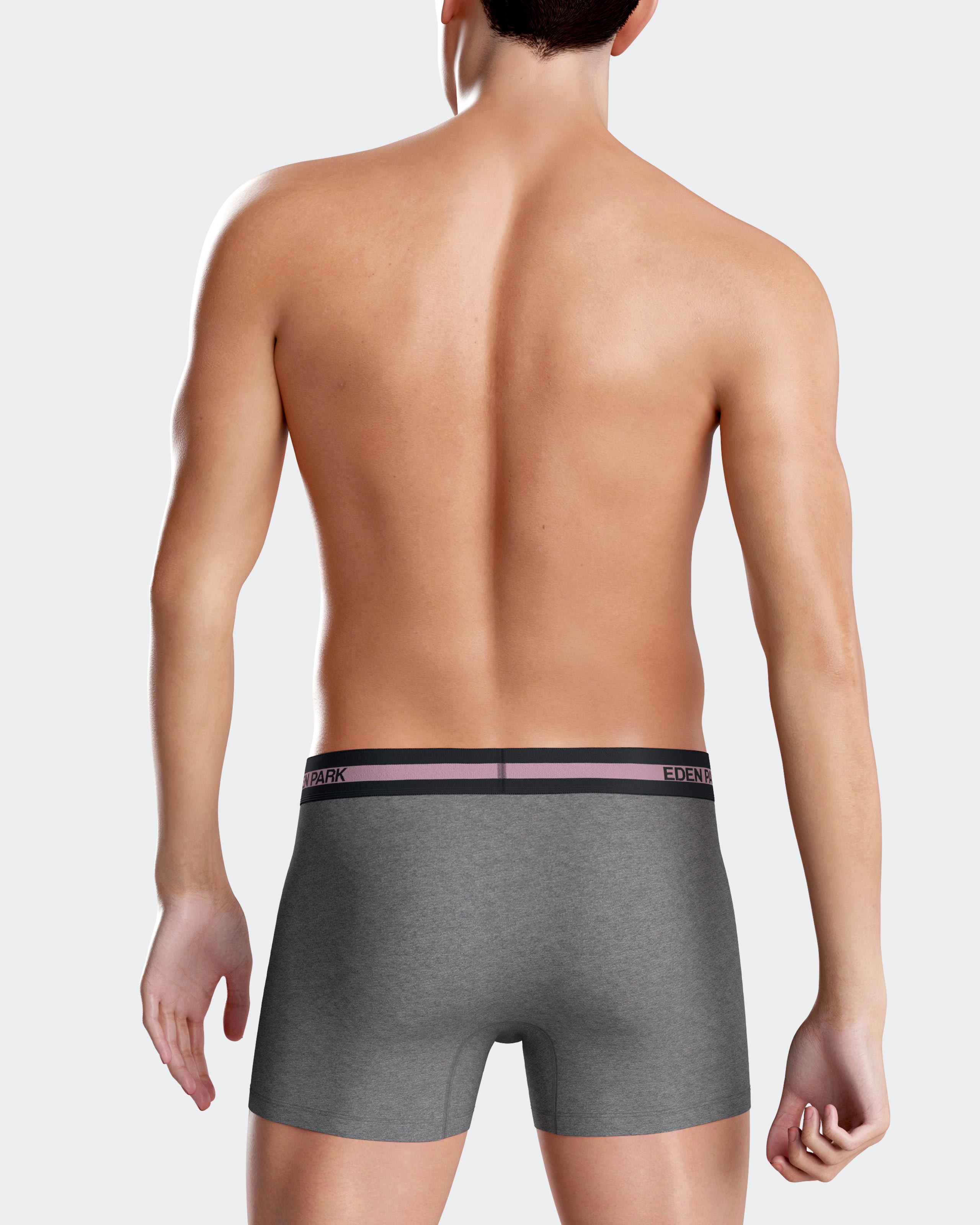 Boxer liso Eden Park