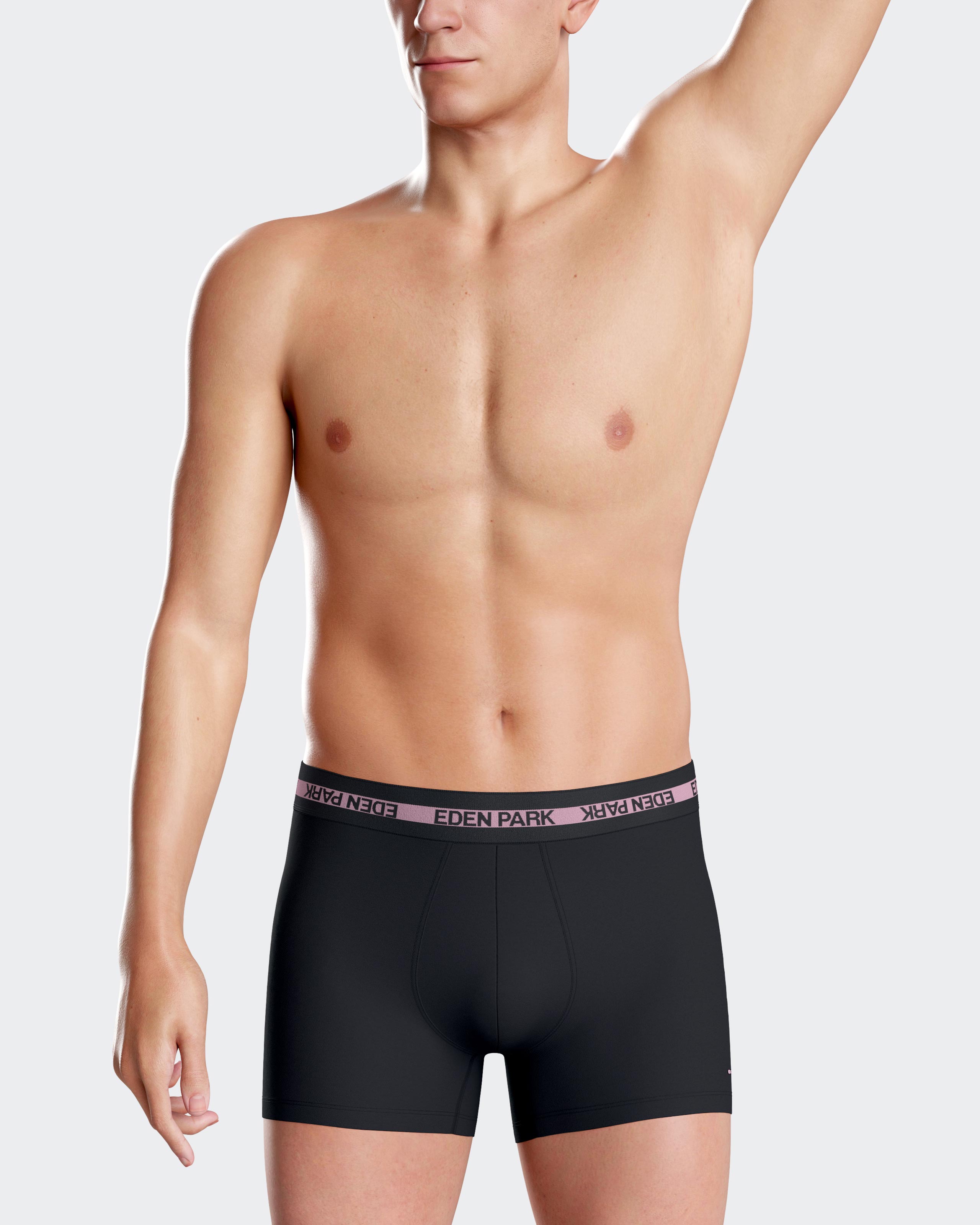 Boxer liso Eden Park