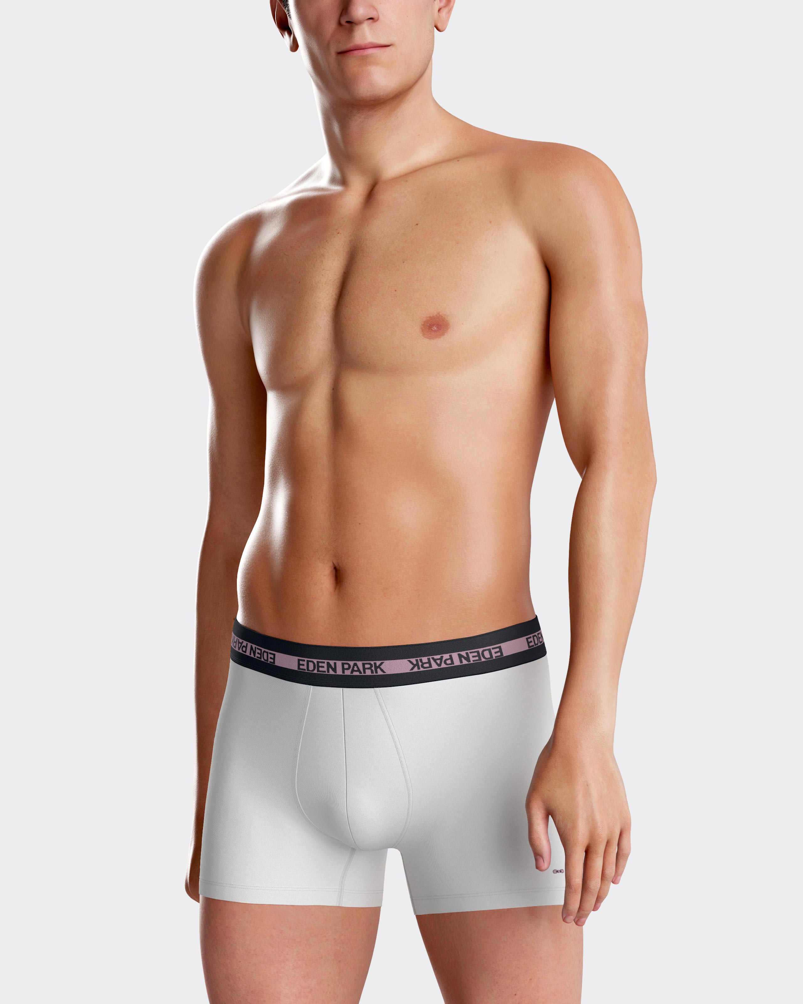 Boxer liso Eden Park