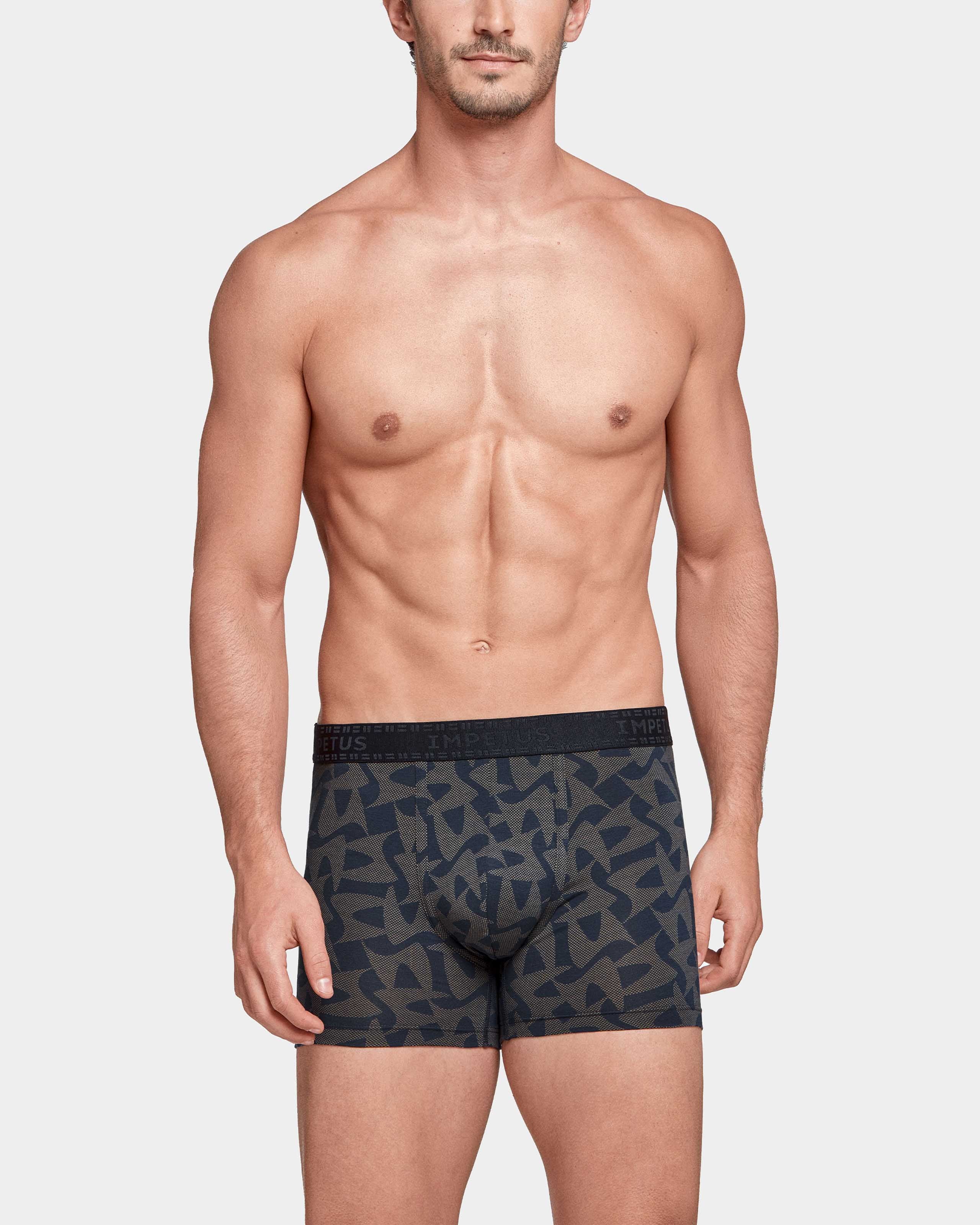 Boxer Graphic Print