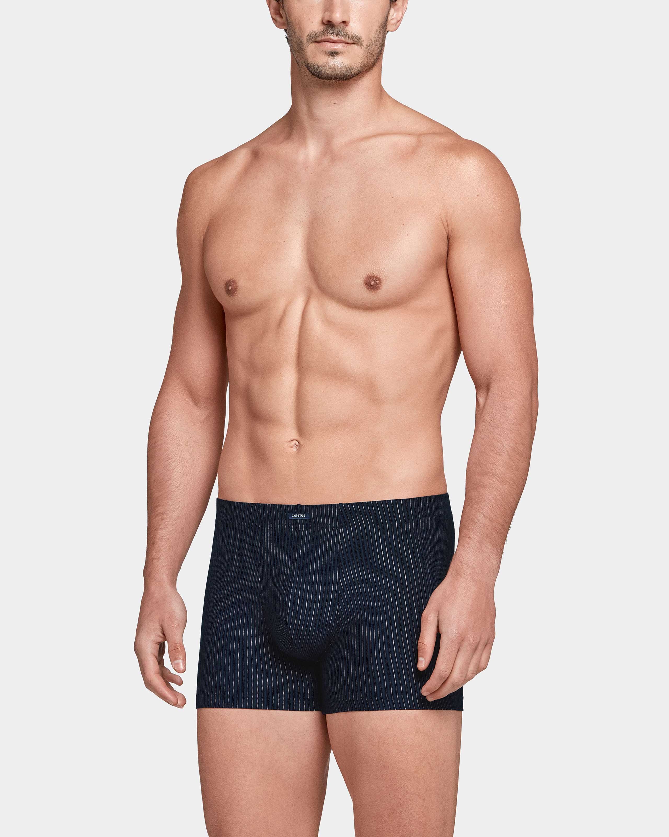 Boxer a Rayas Zermatt