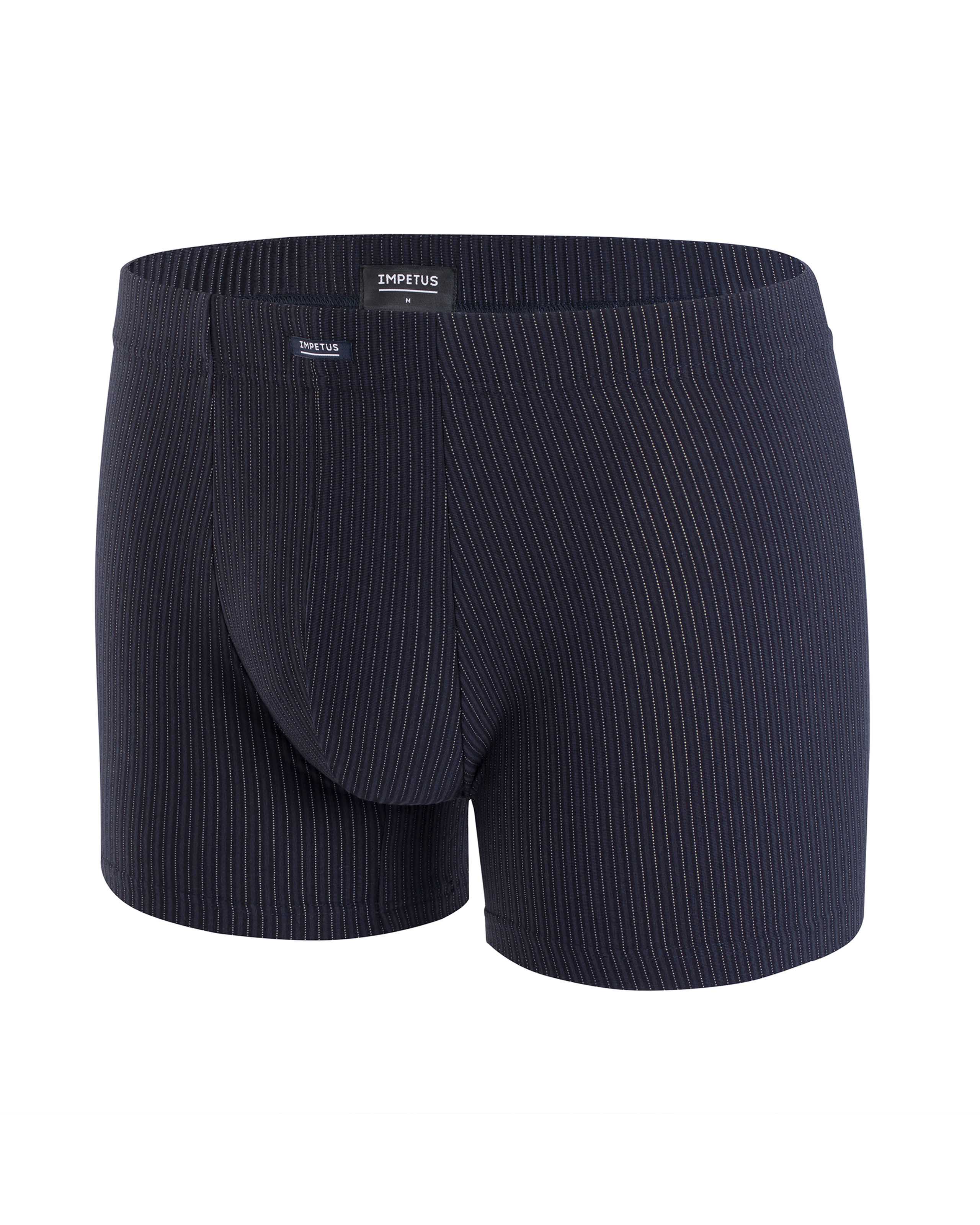 Boxer a Rayas Zermatt