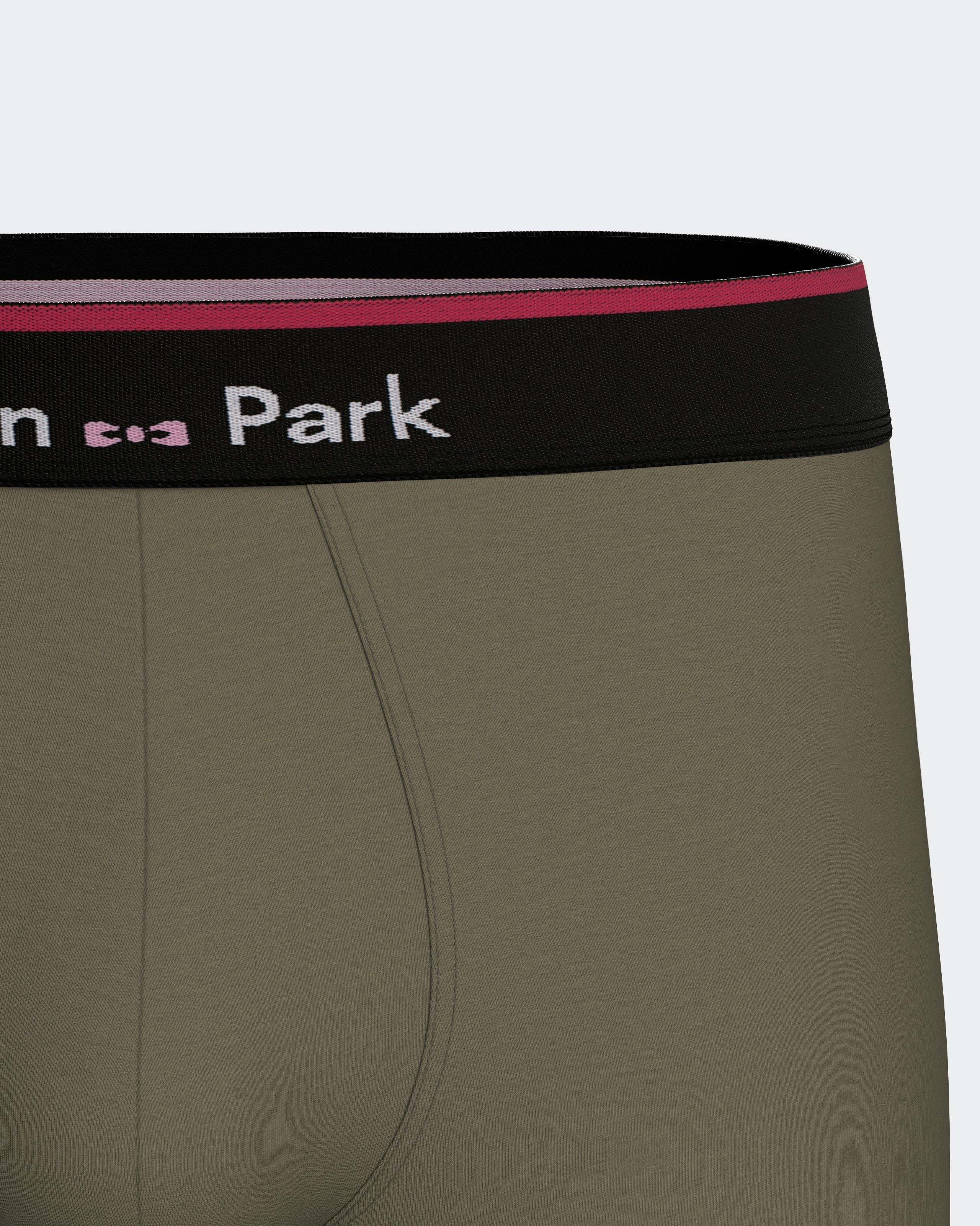 Pack 2 plain boxers in cotton