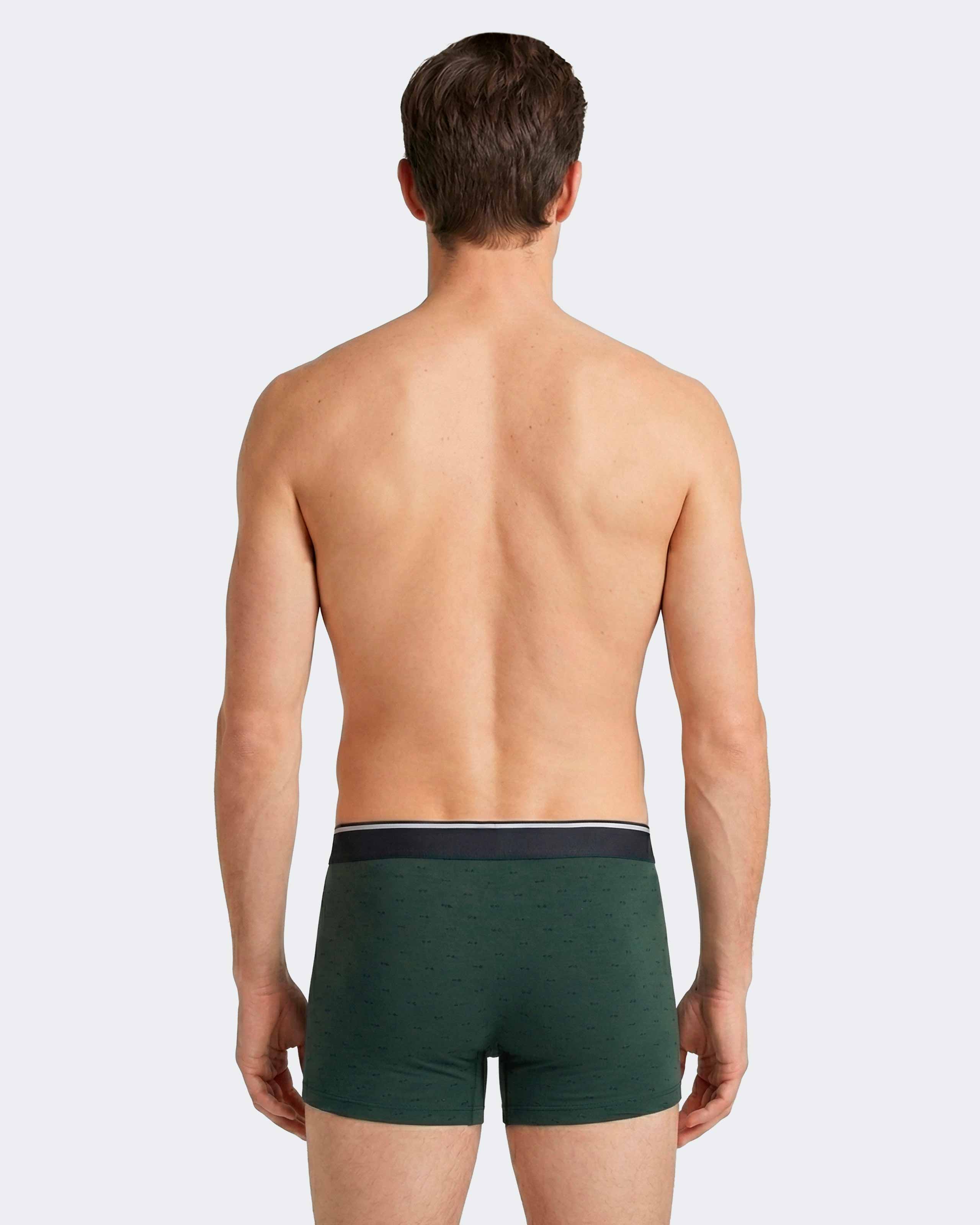 Pack of 2 micromotif boxers Eden Park