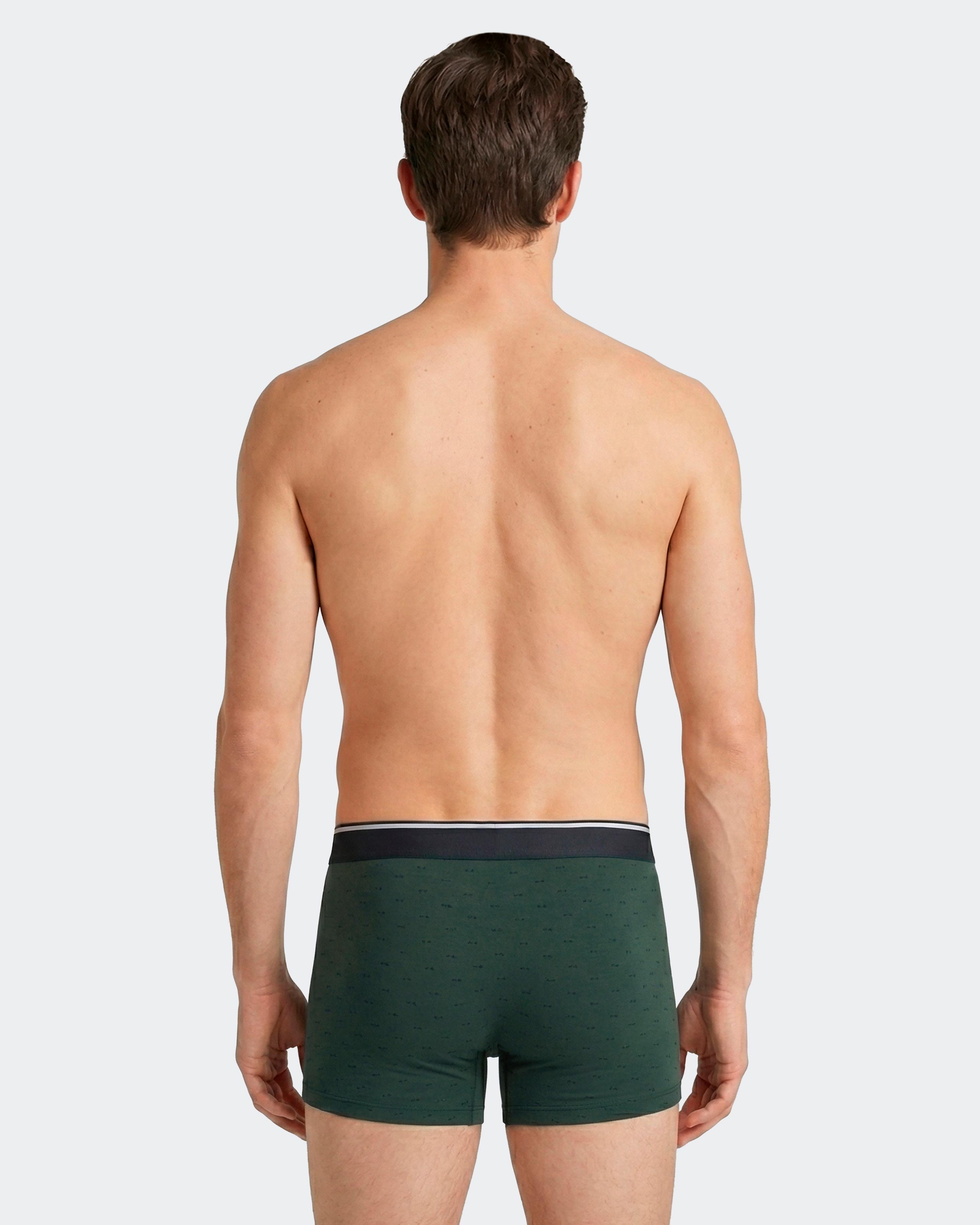 Pack 2 boxers micromotivo Eden Park