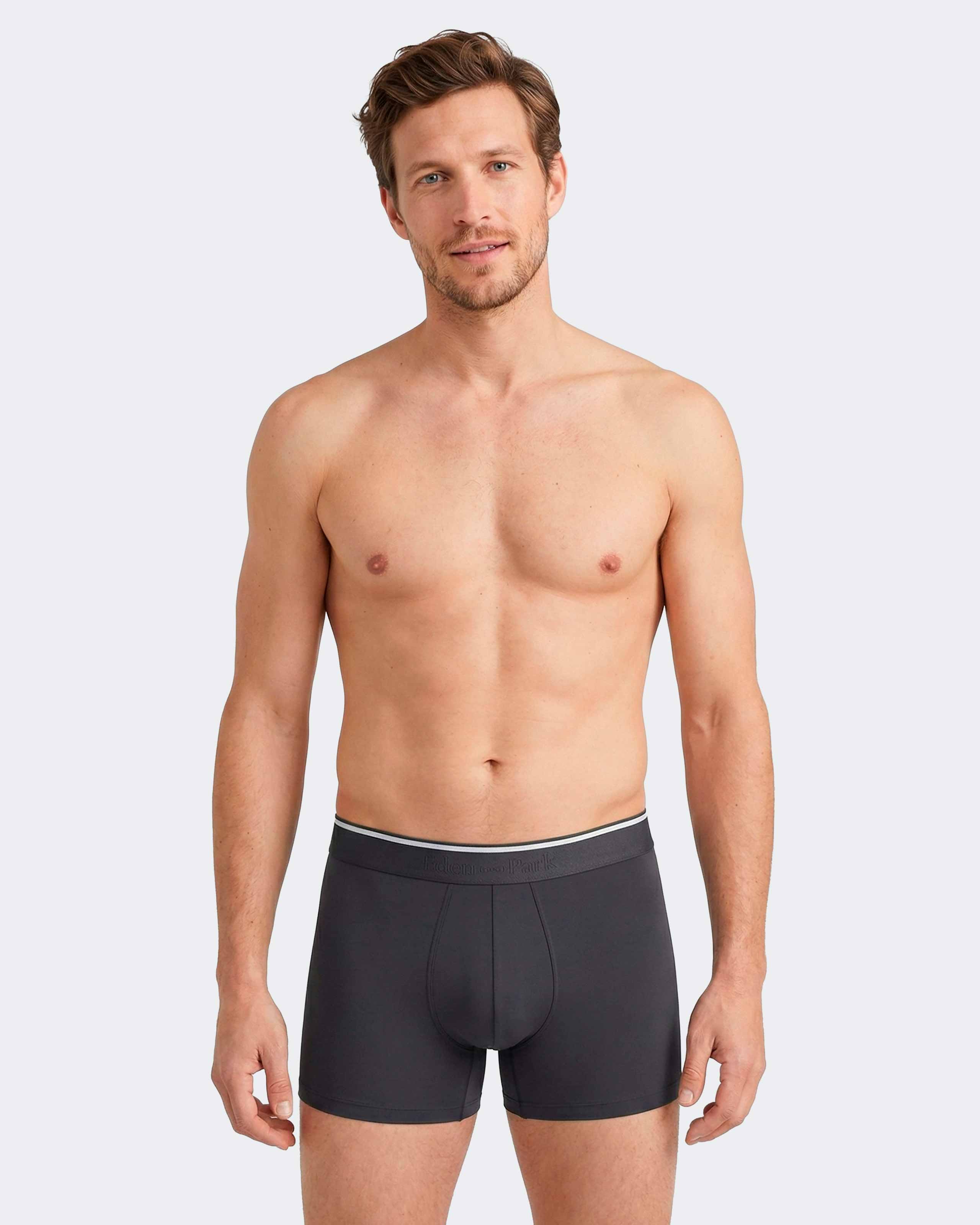 Pack of 2 micromotif boxers Eden Park