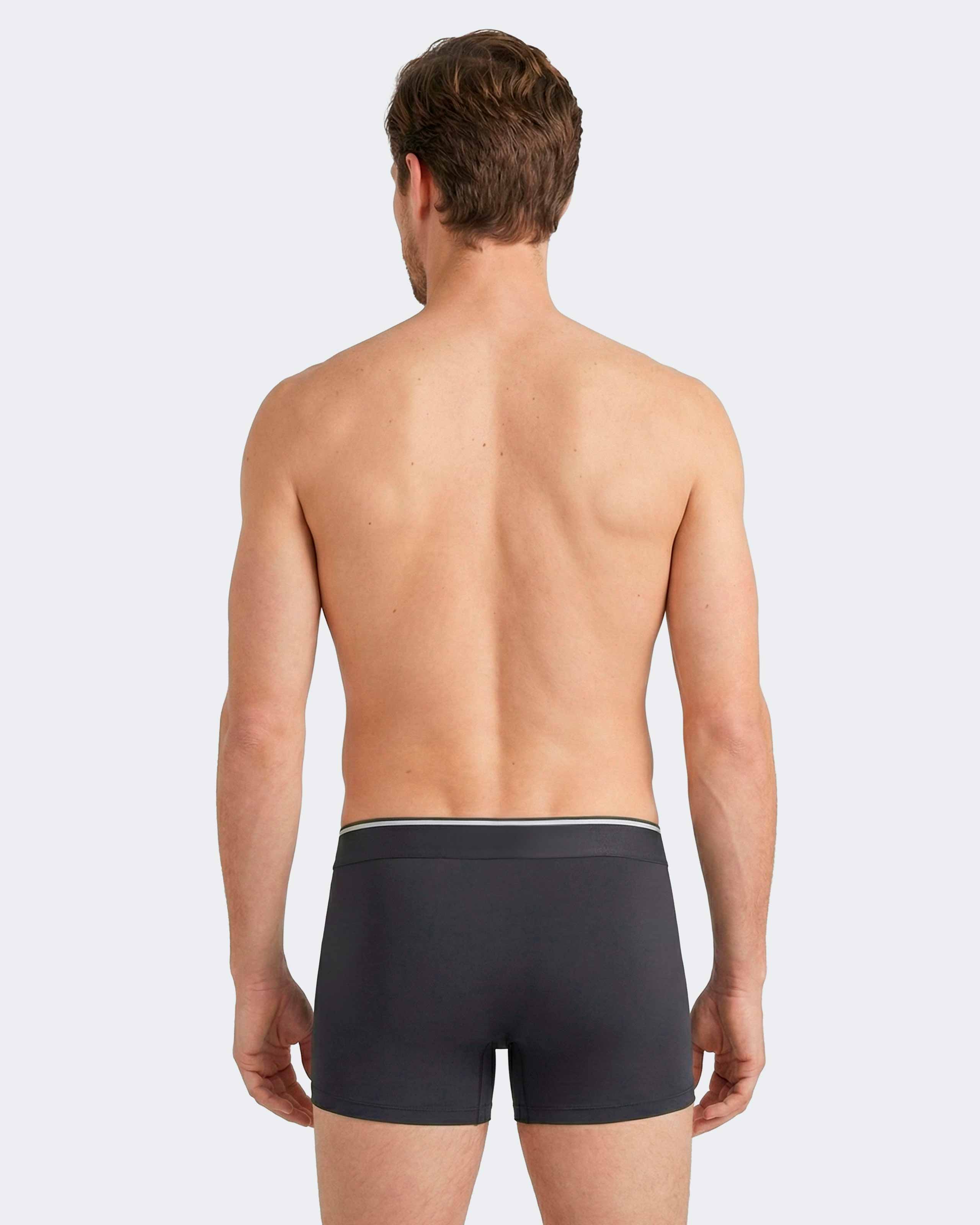 Pack of 2 micromotif boxers Eden Park