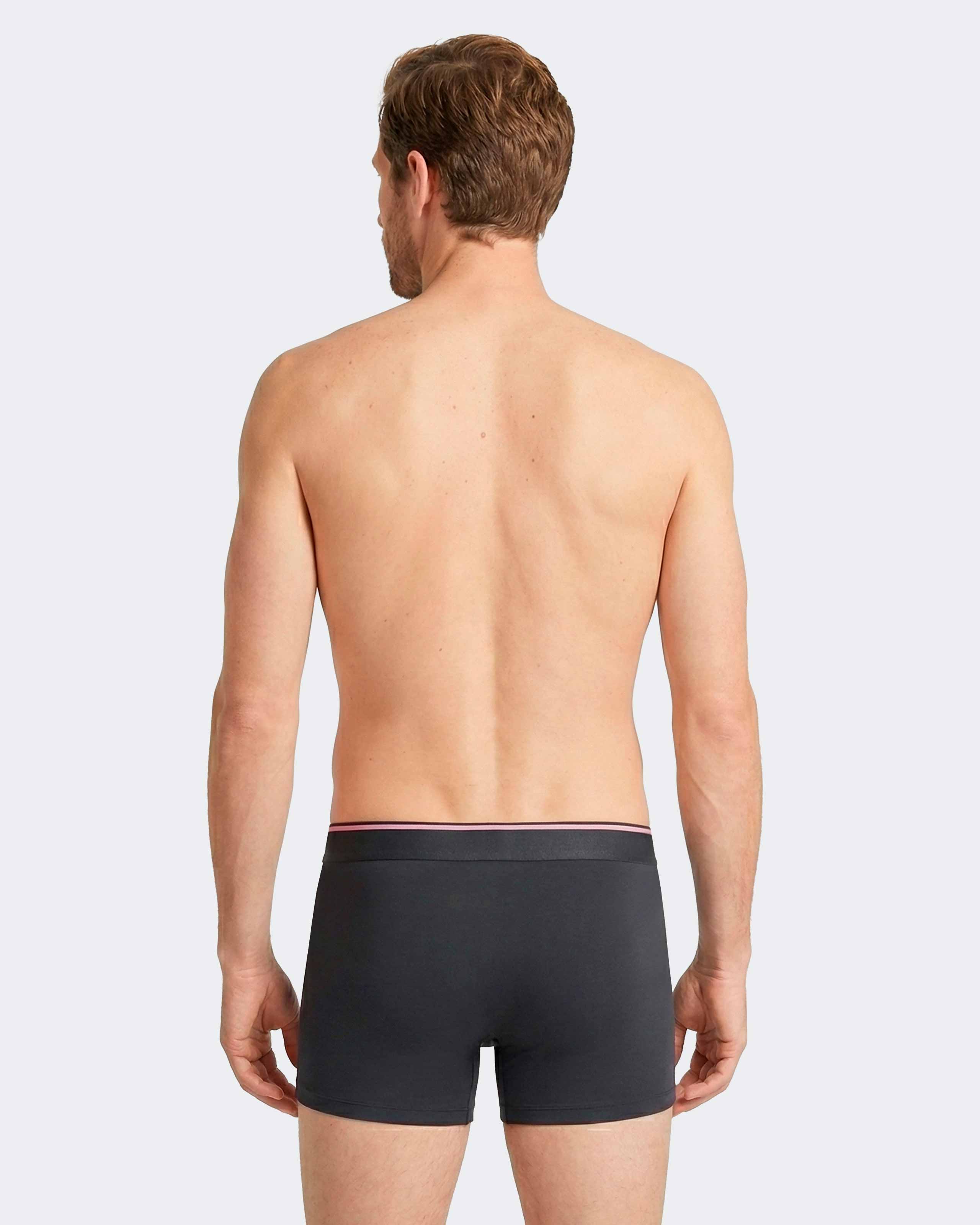 Pack of 2 micromotif boxers Eden Park