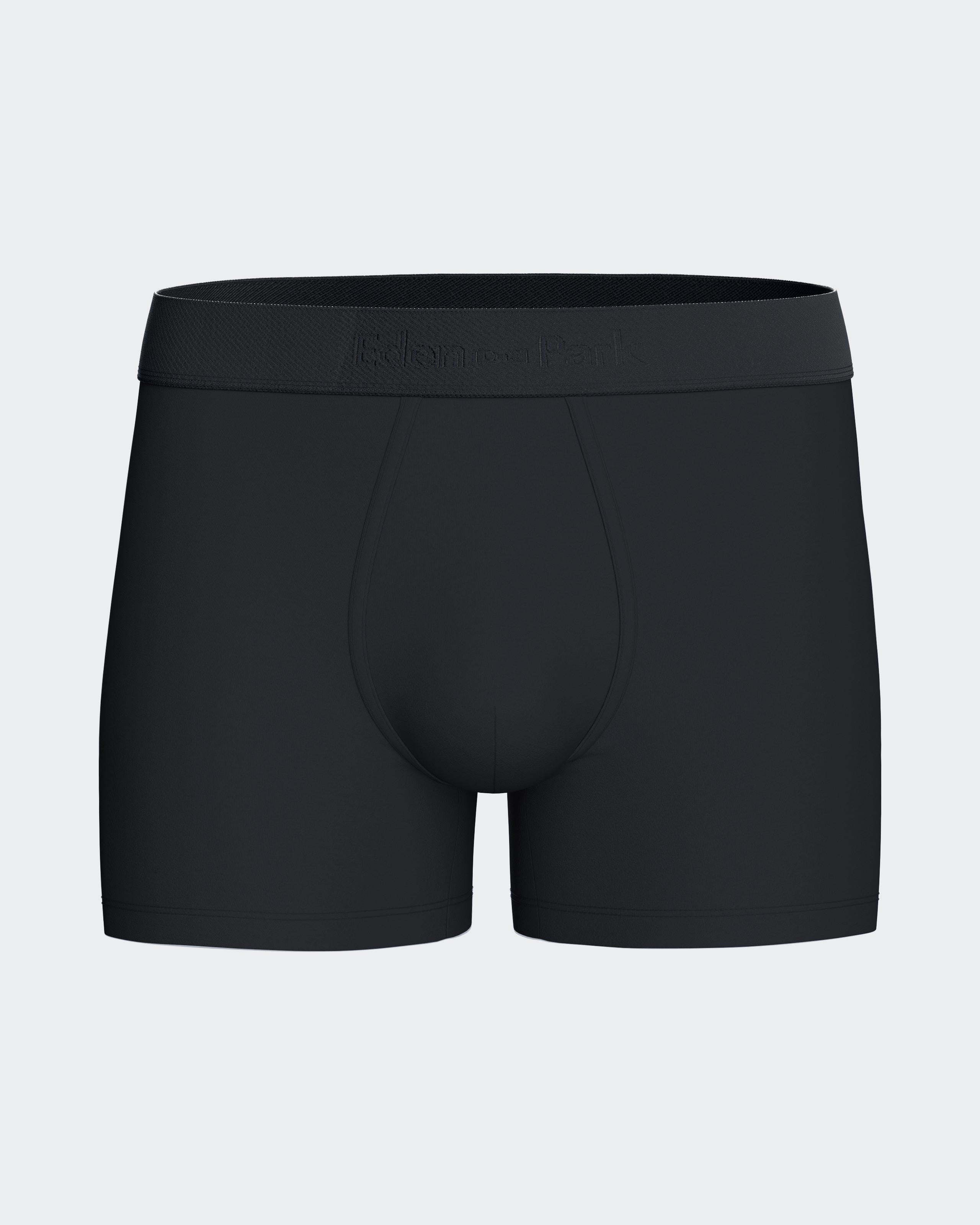 Pack of 2 micromotif boxers Eden Park