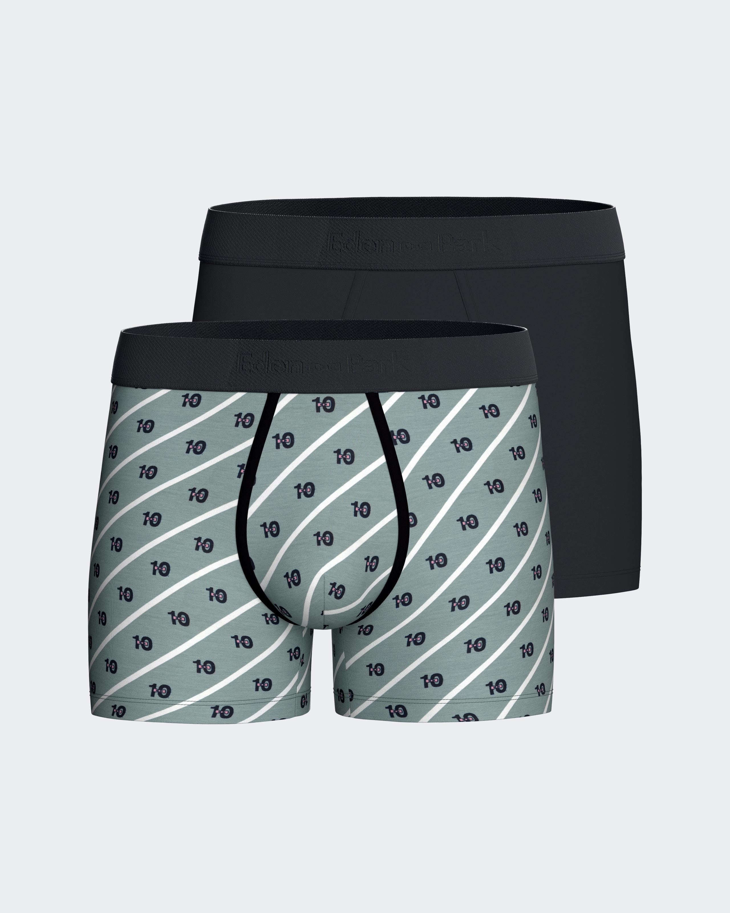Pack of 2 micromotif boxers Eden Park