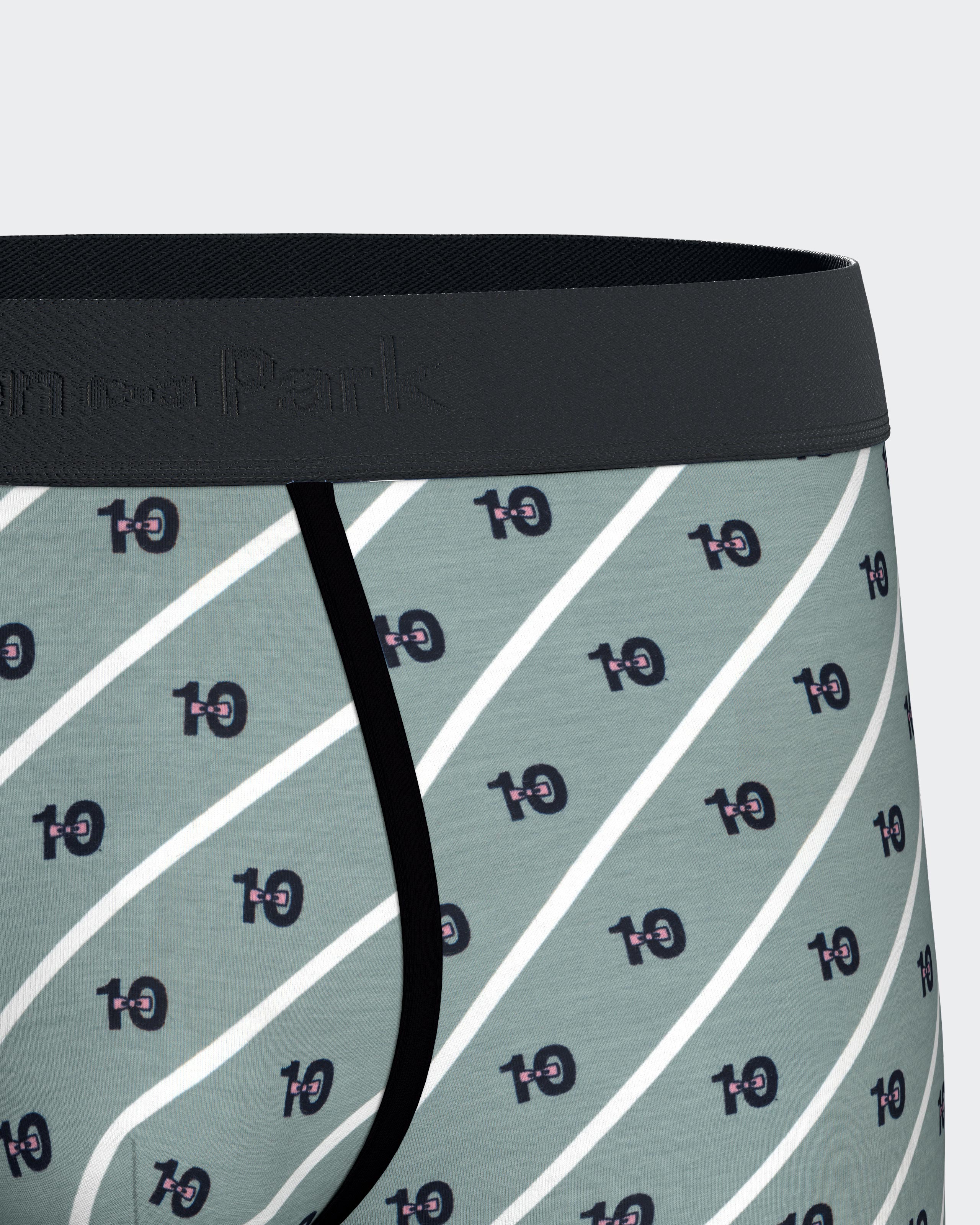 Pack of 2 micromotif boxers Eden Park