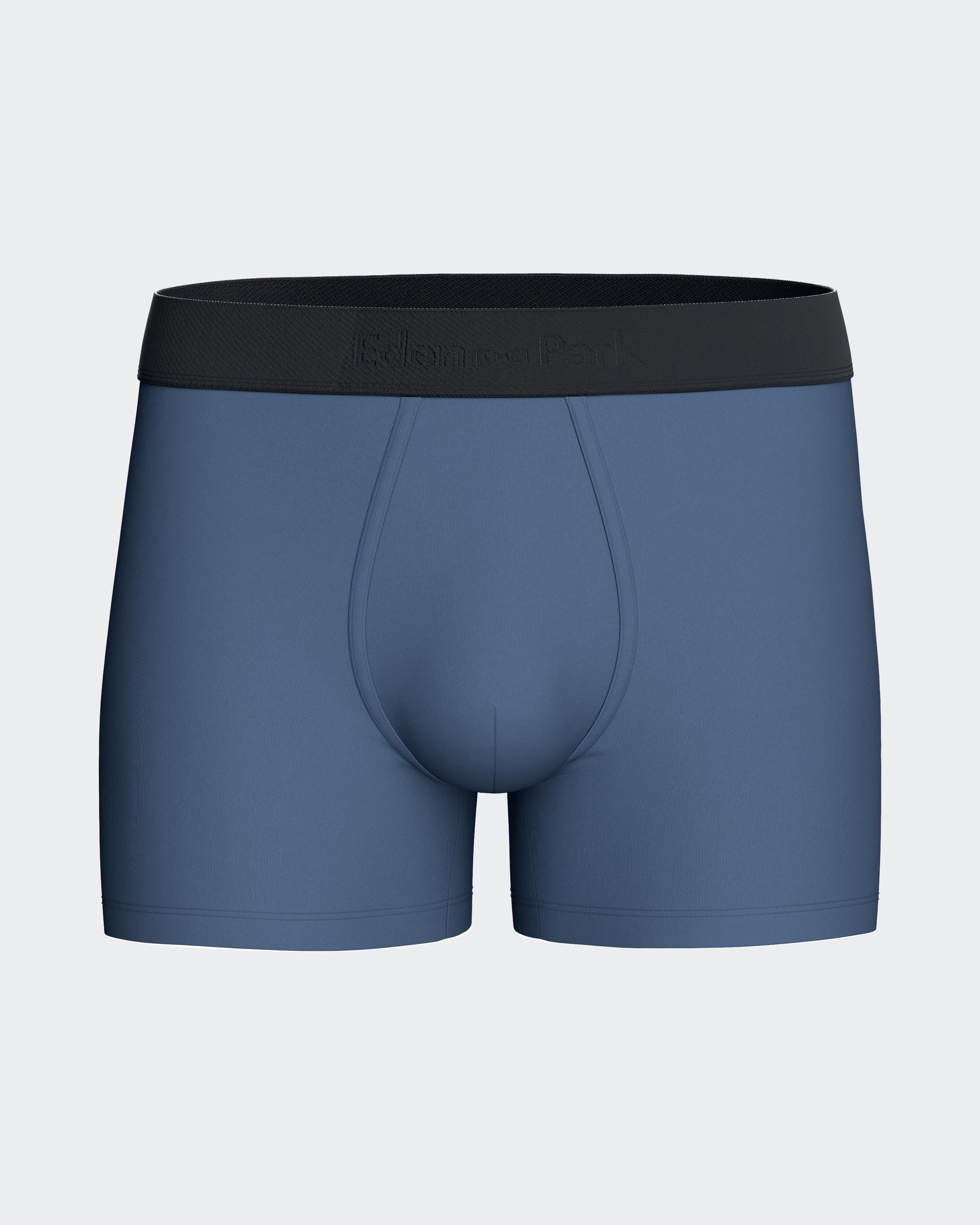 Pack of 2 micromotif boxers Eden Park