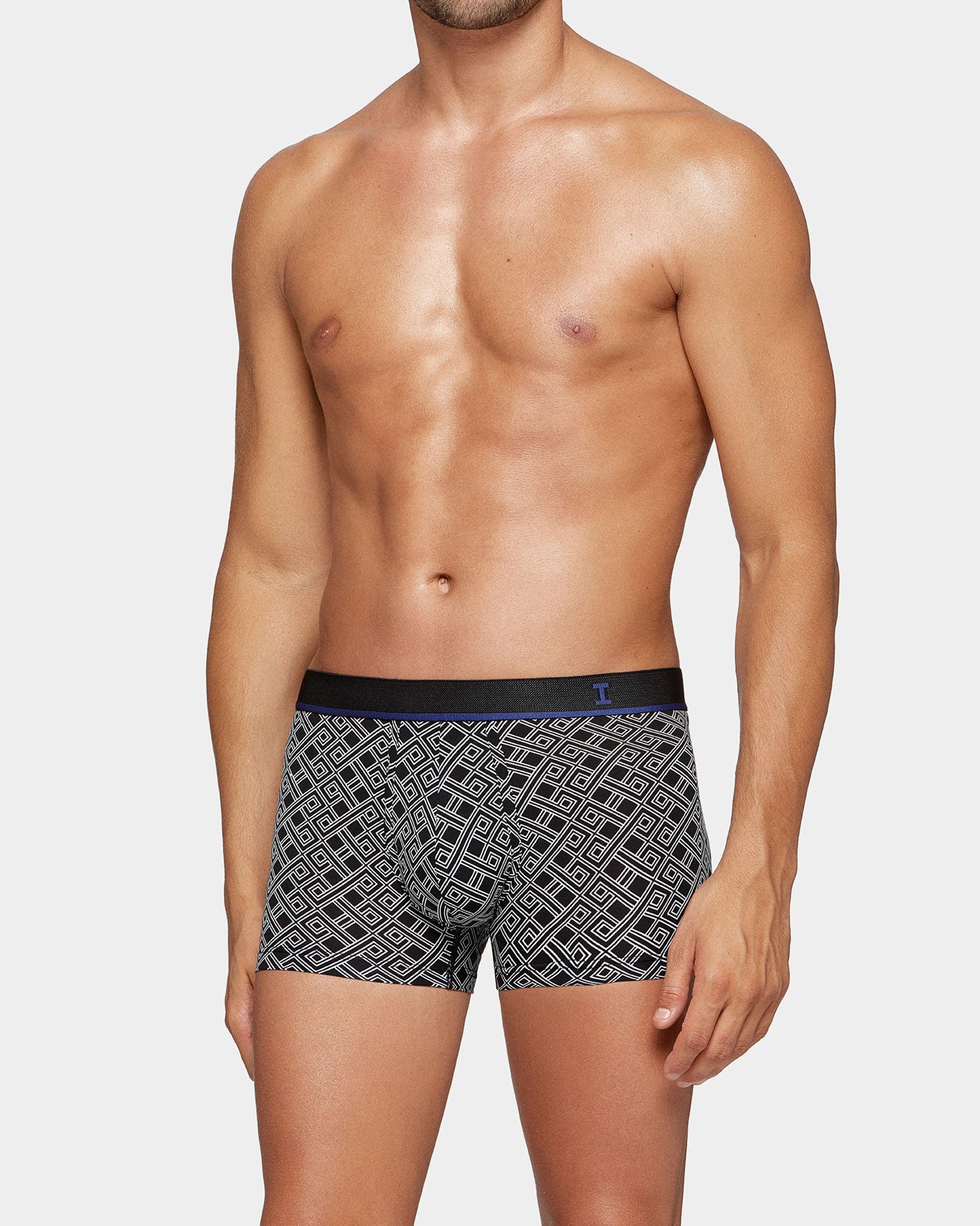 Boxer I Am Idealistic