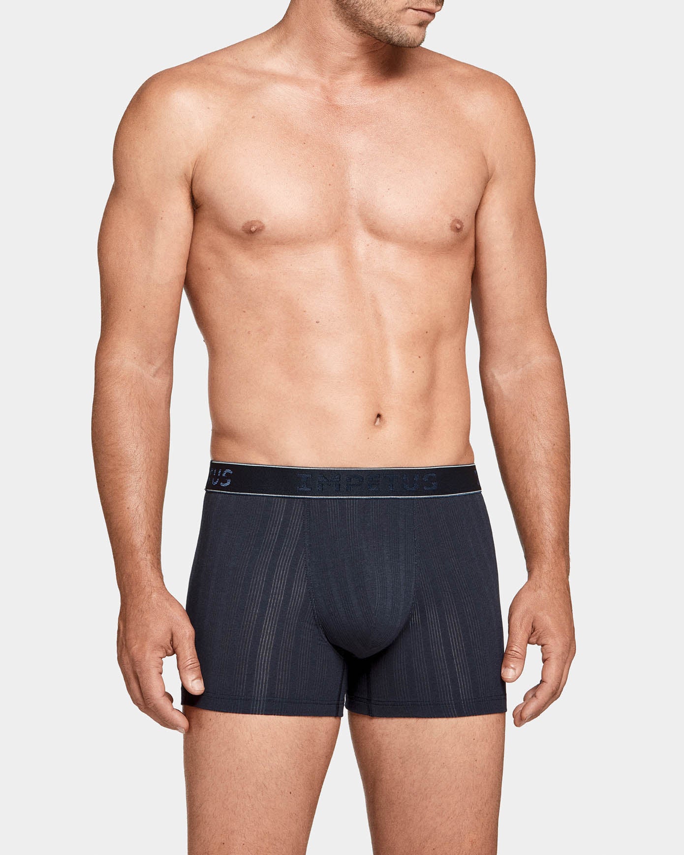Boxer rayas Baobab