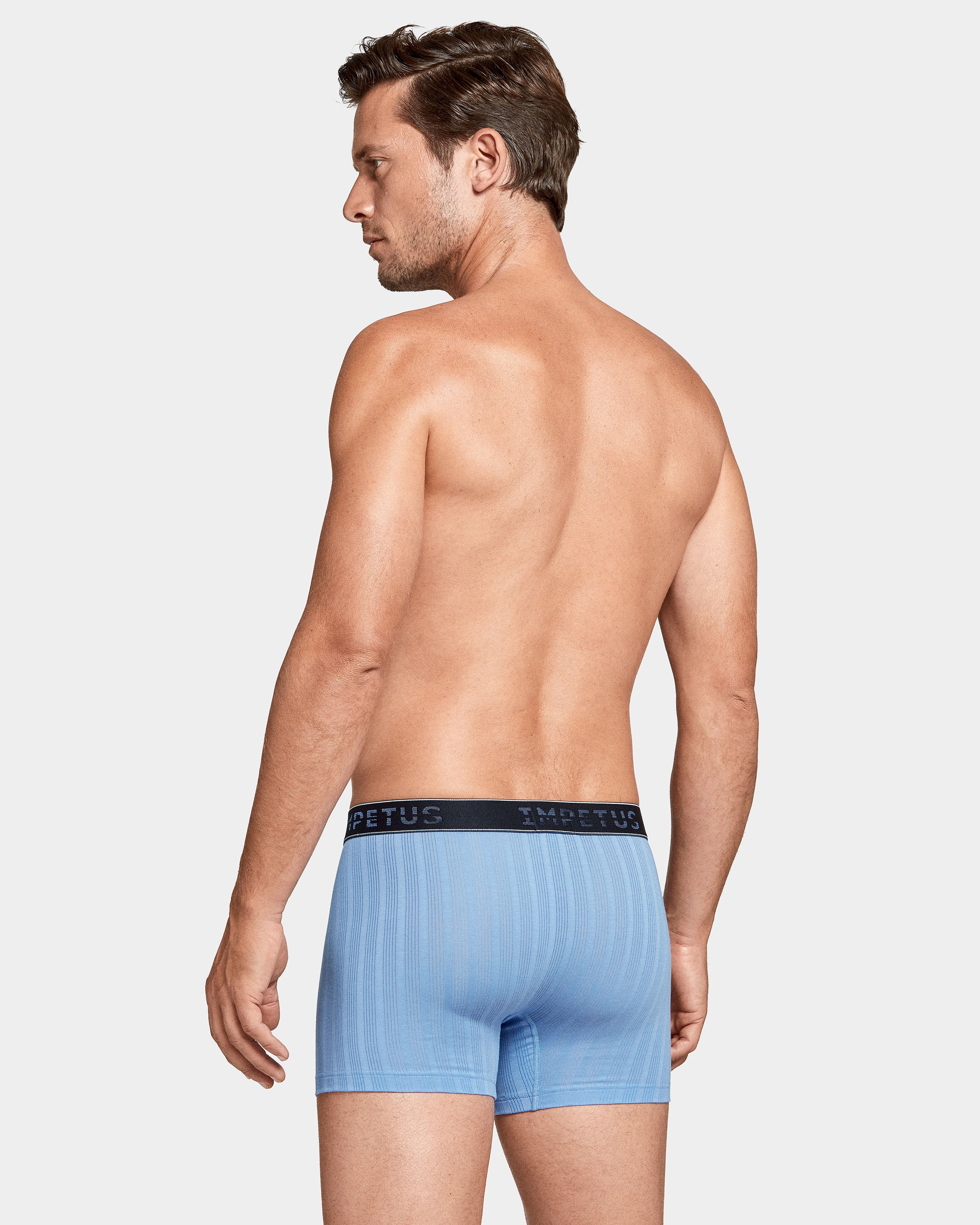 Boxer pinstriped Baobab
