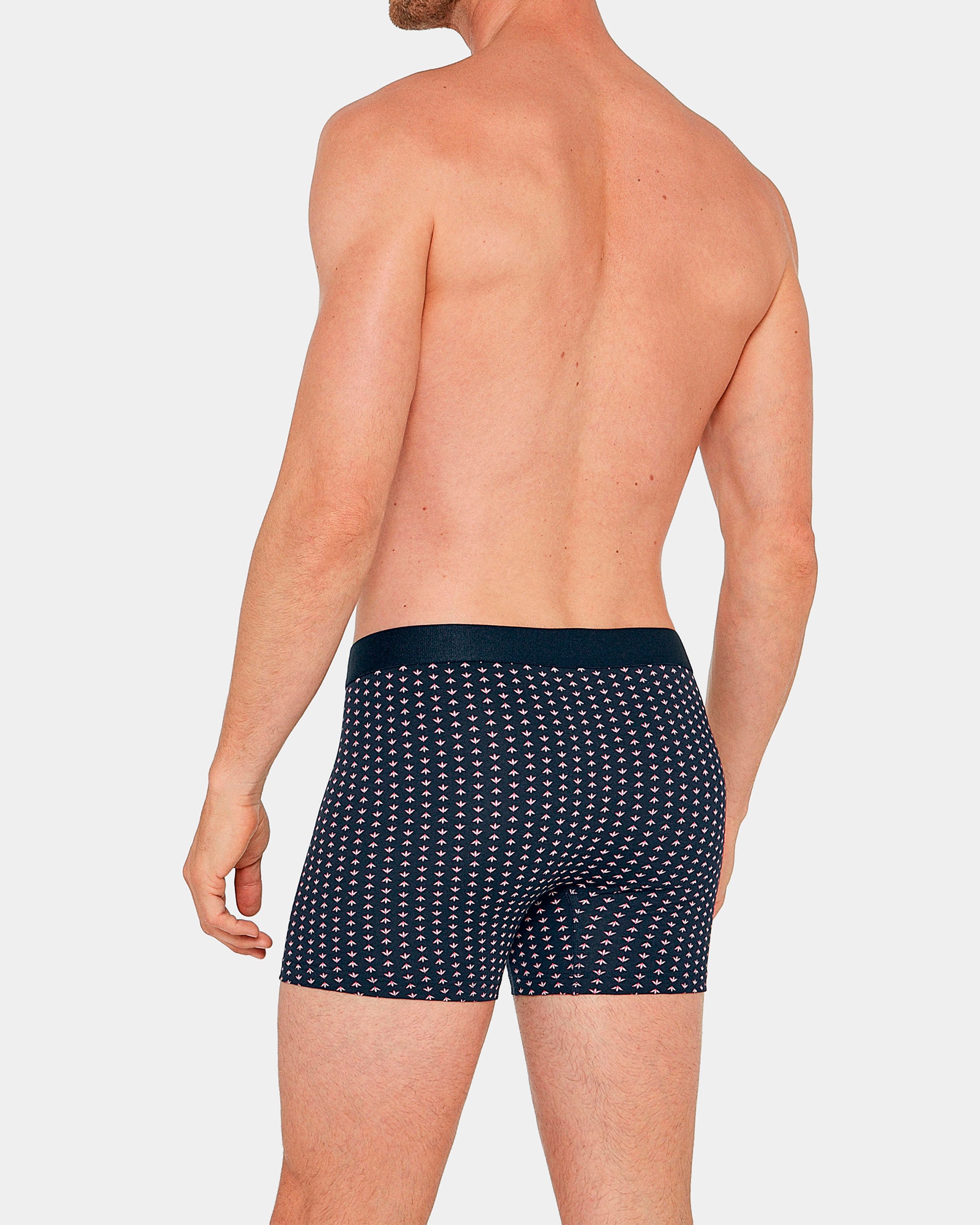 Boxer imprimé Lupin