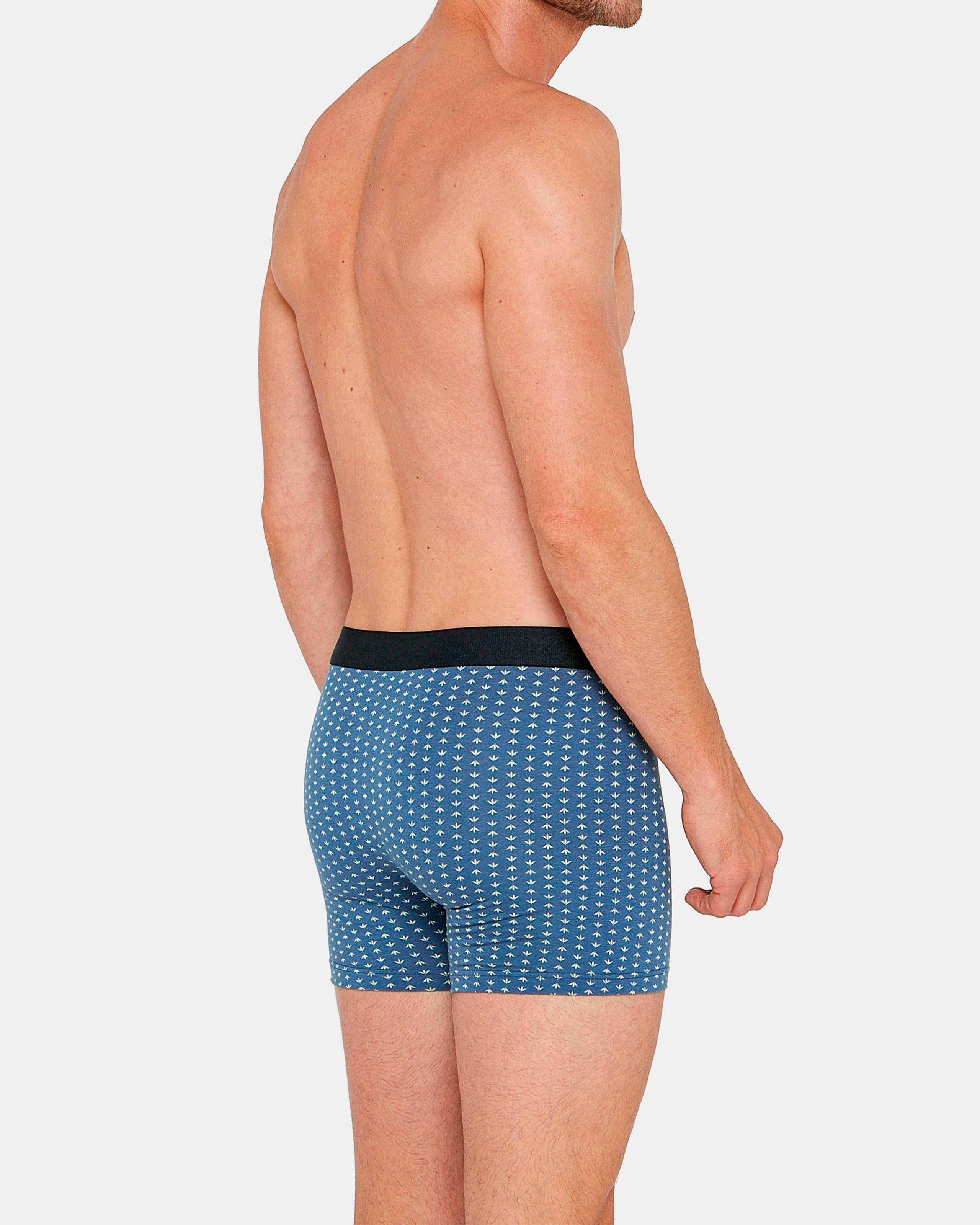 Boxer imprimé Lupin