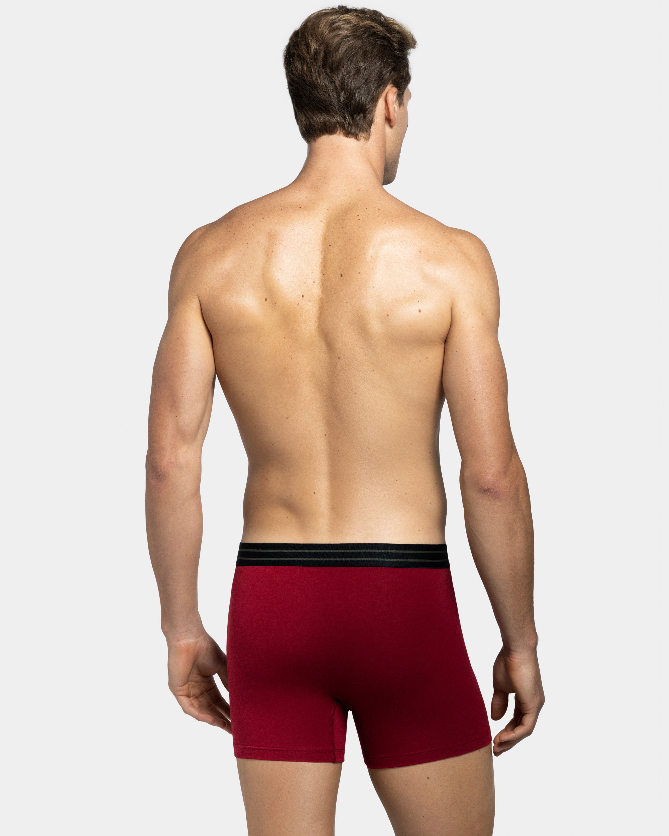 Pack 2 Boxers Majestic