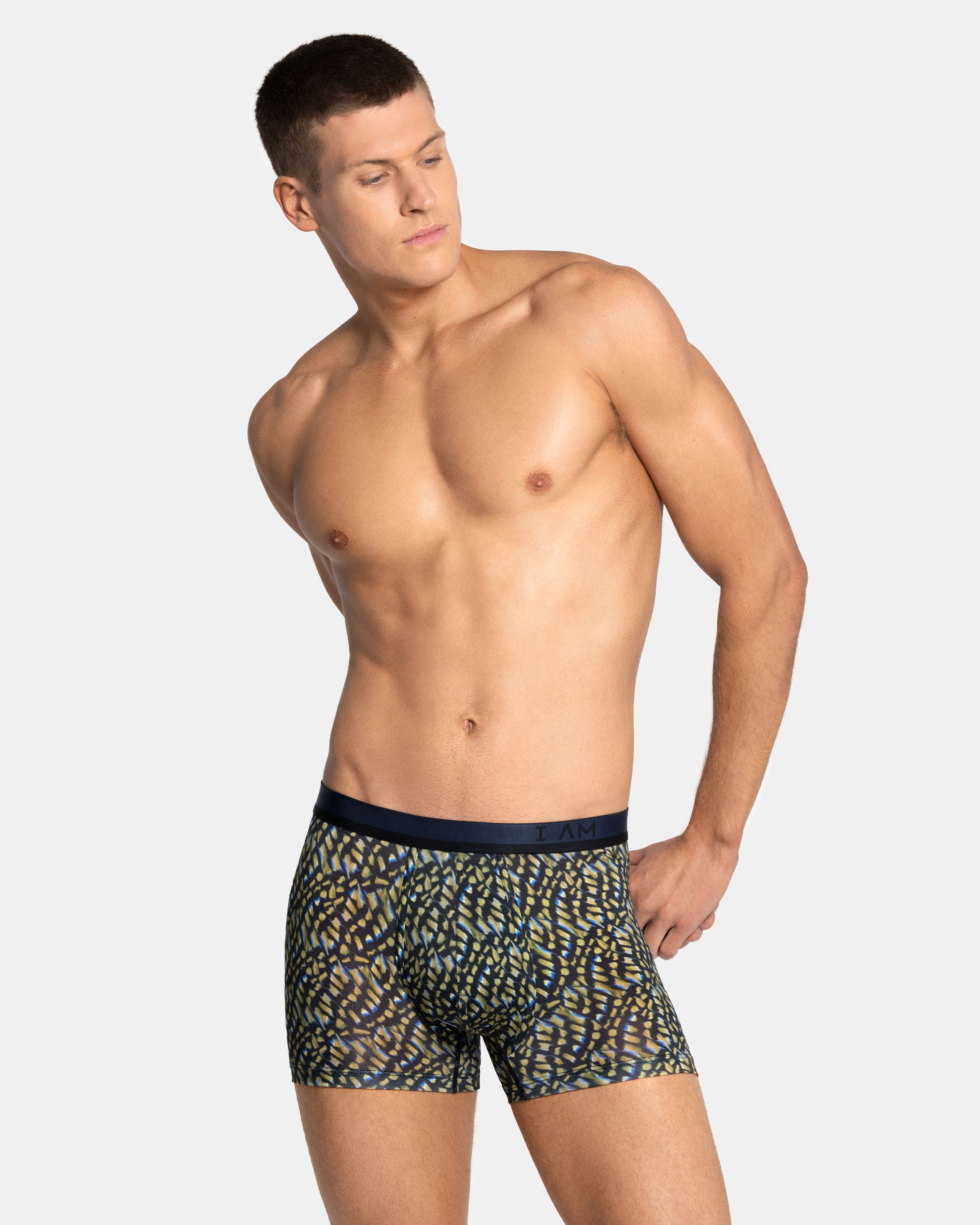 Boxer I am Animalistic