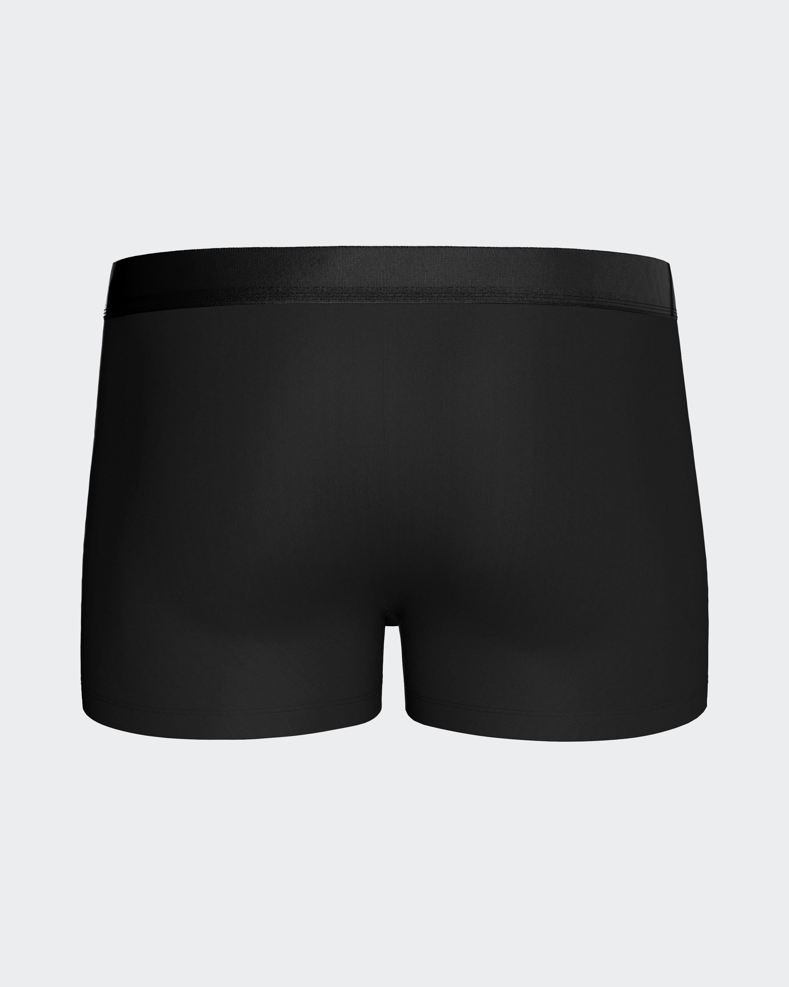 Pack of 2 men's boxers in Lyocell