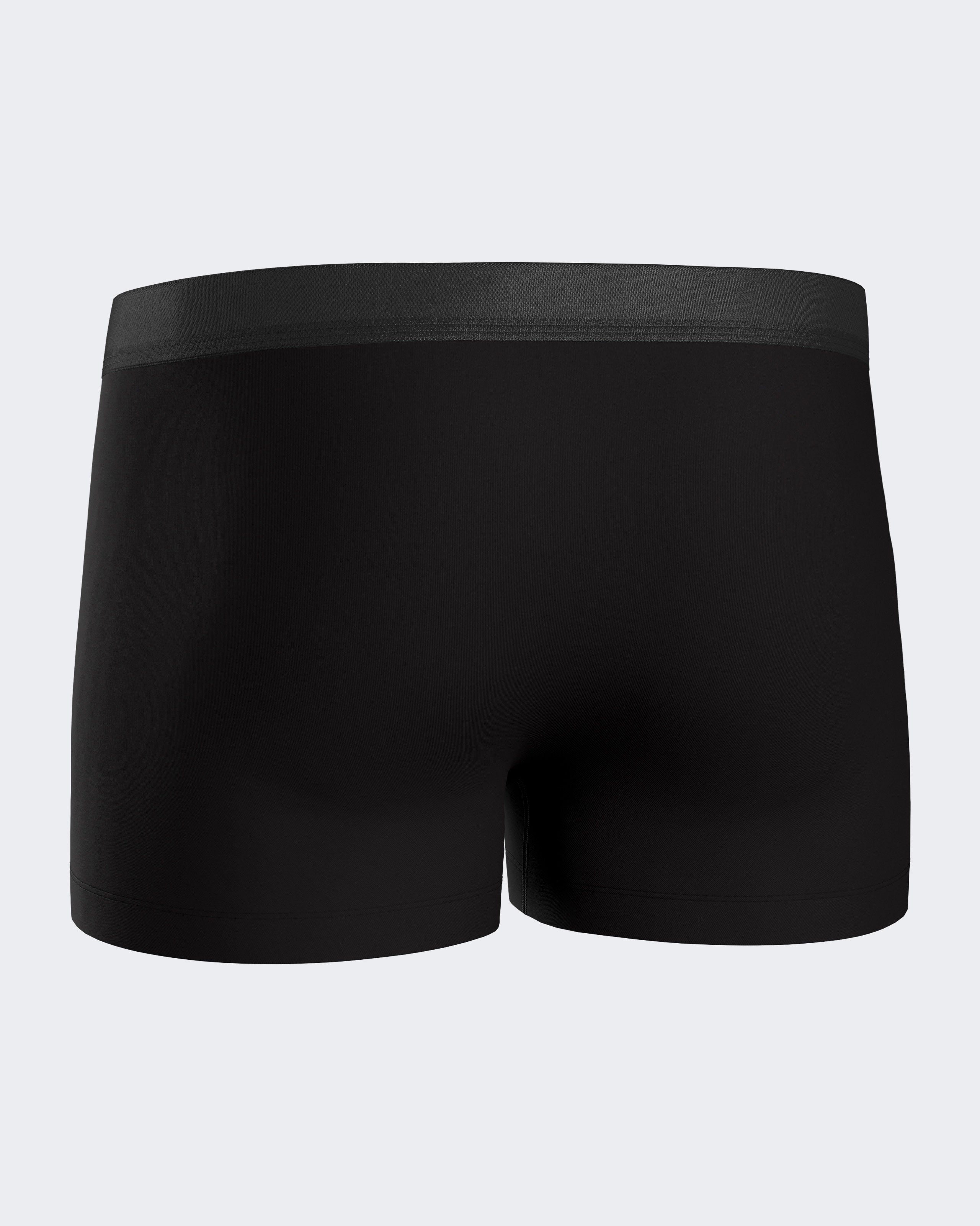 Pack of 2 men's boxers in Lyocell