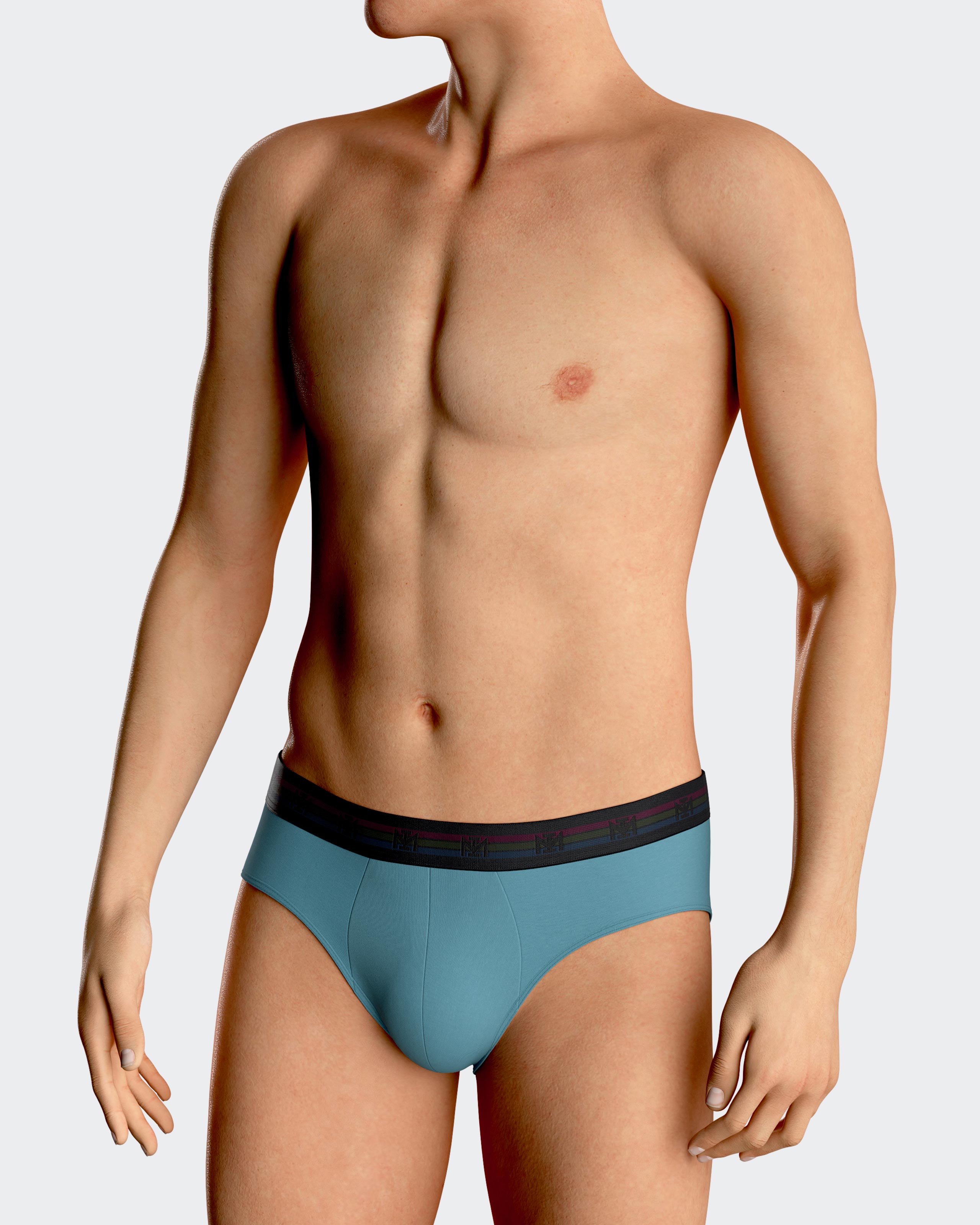 Pack of two plain man's briefs in cotton