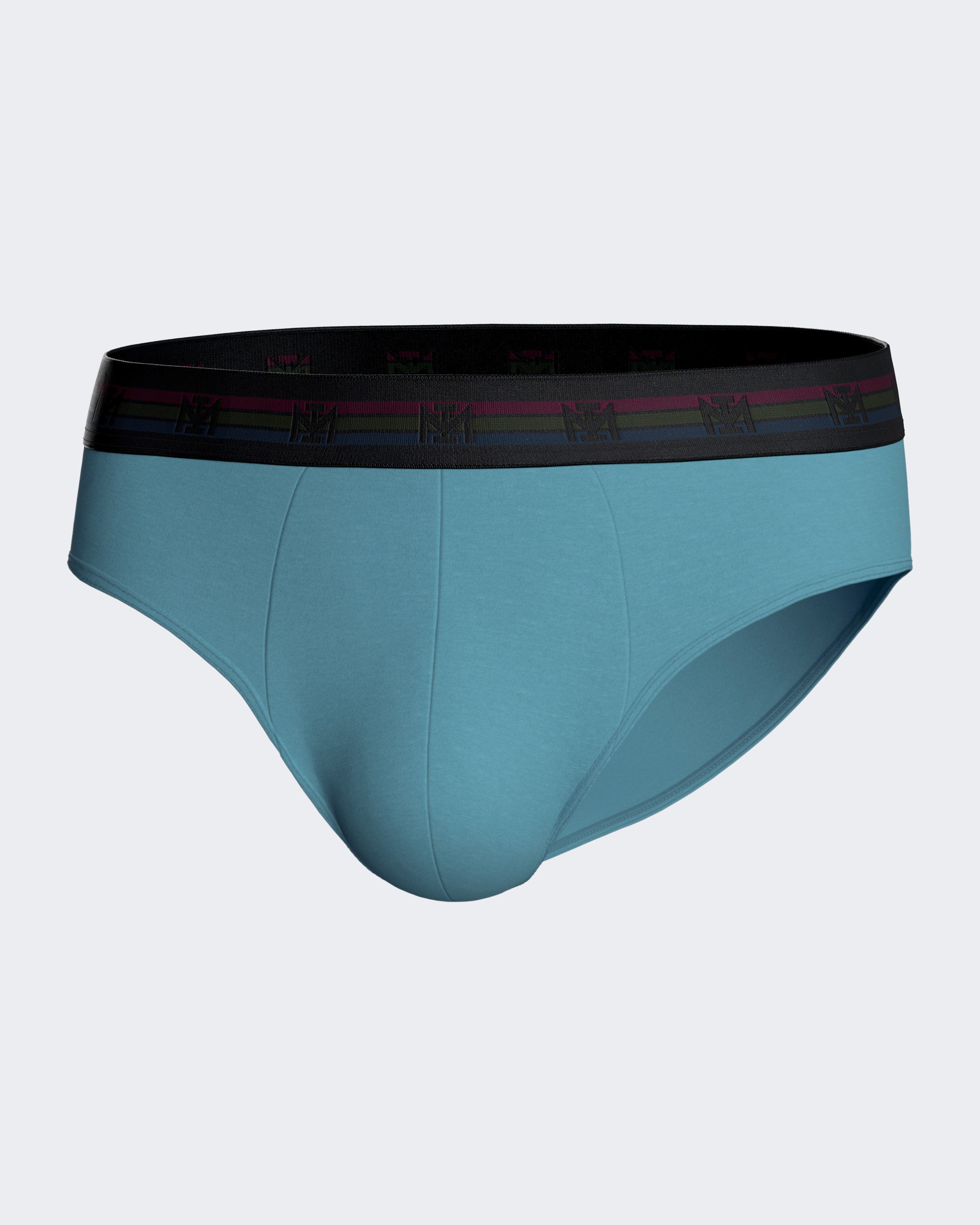 Pack of two plain man's briefs in cotton