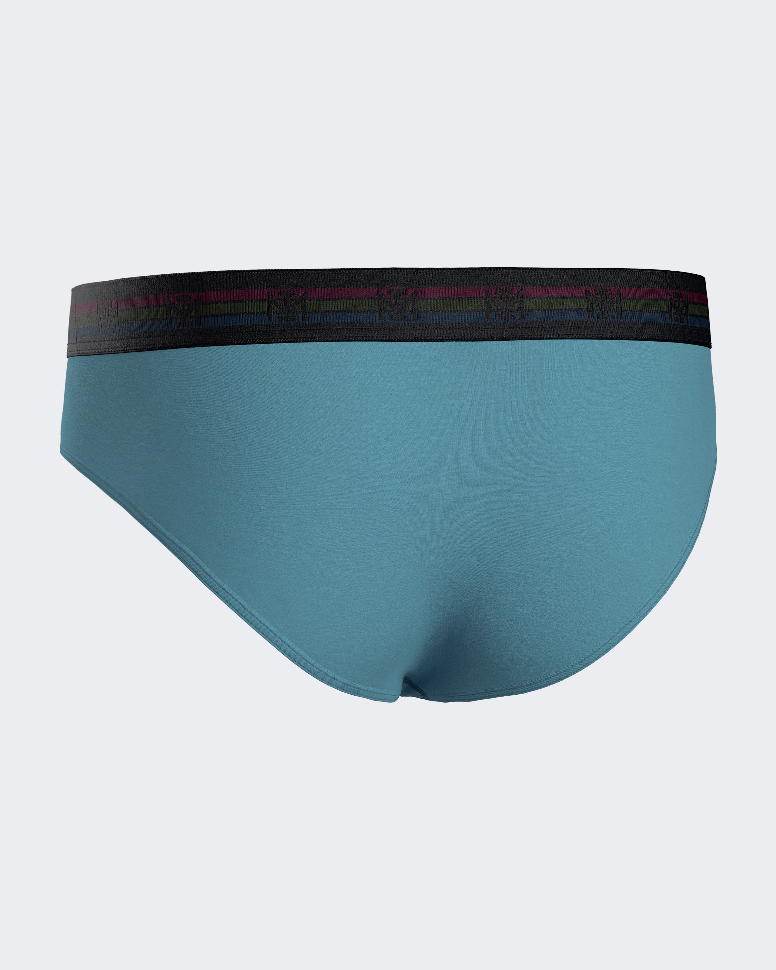 Pack of two plain man's briefs in cotton