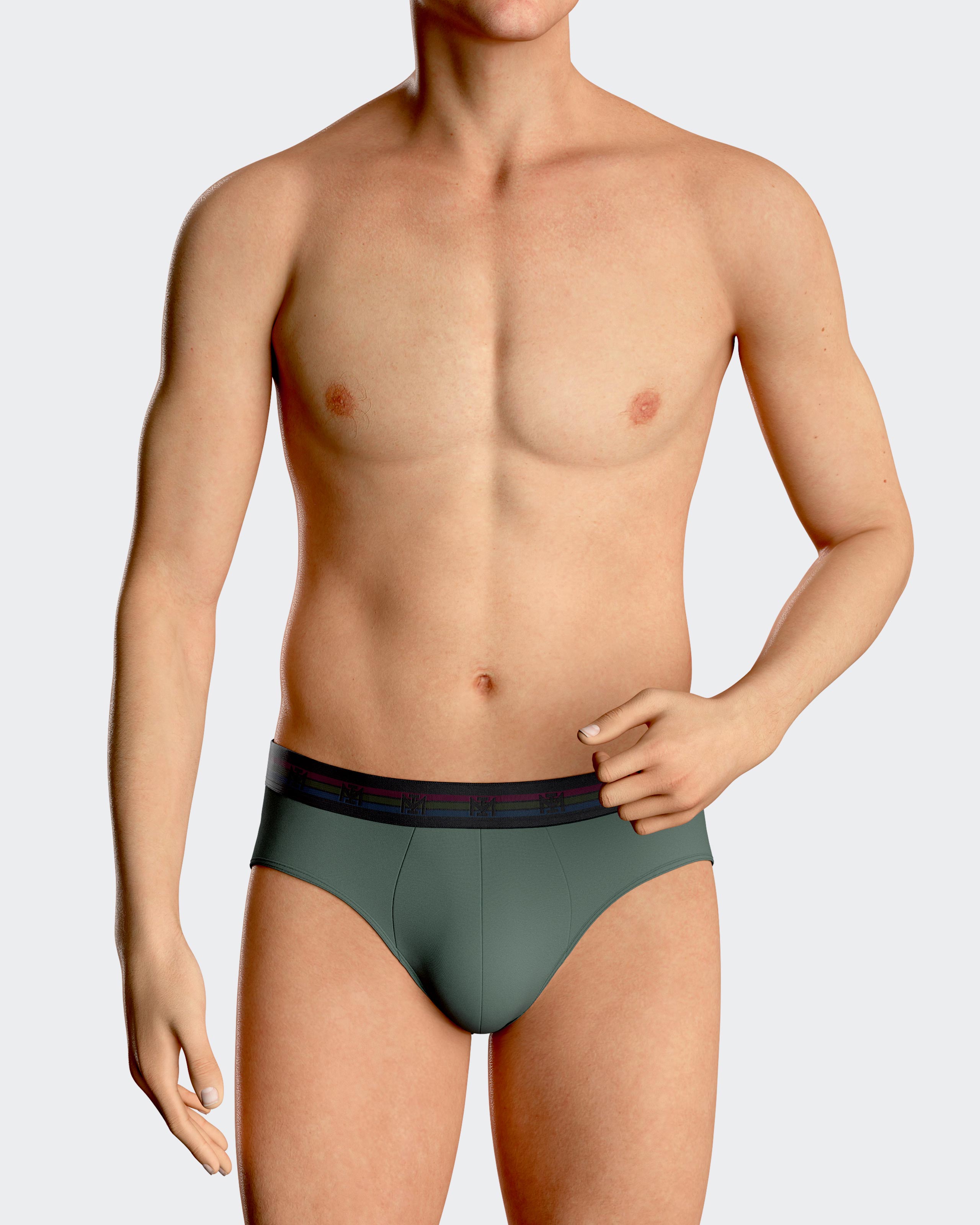 Pack de dois slips de homem lisos em Algodão