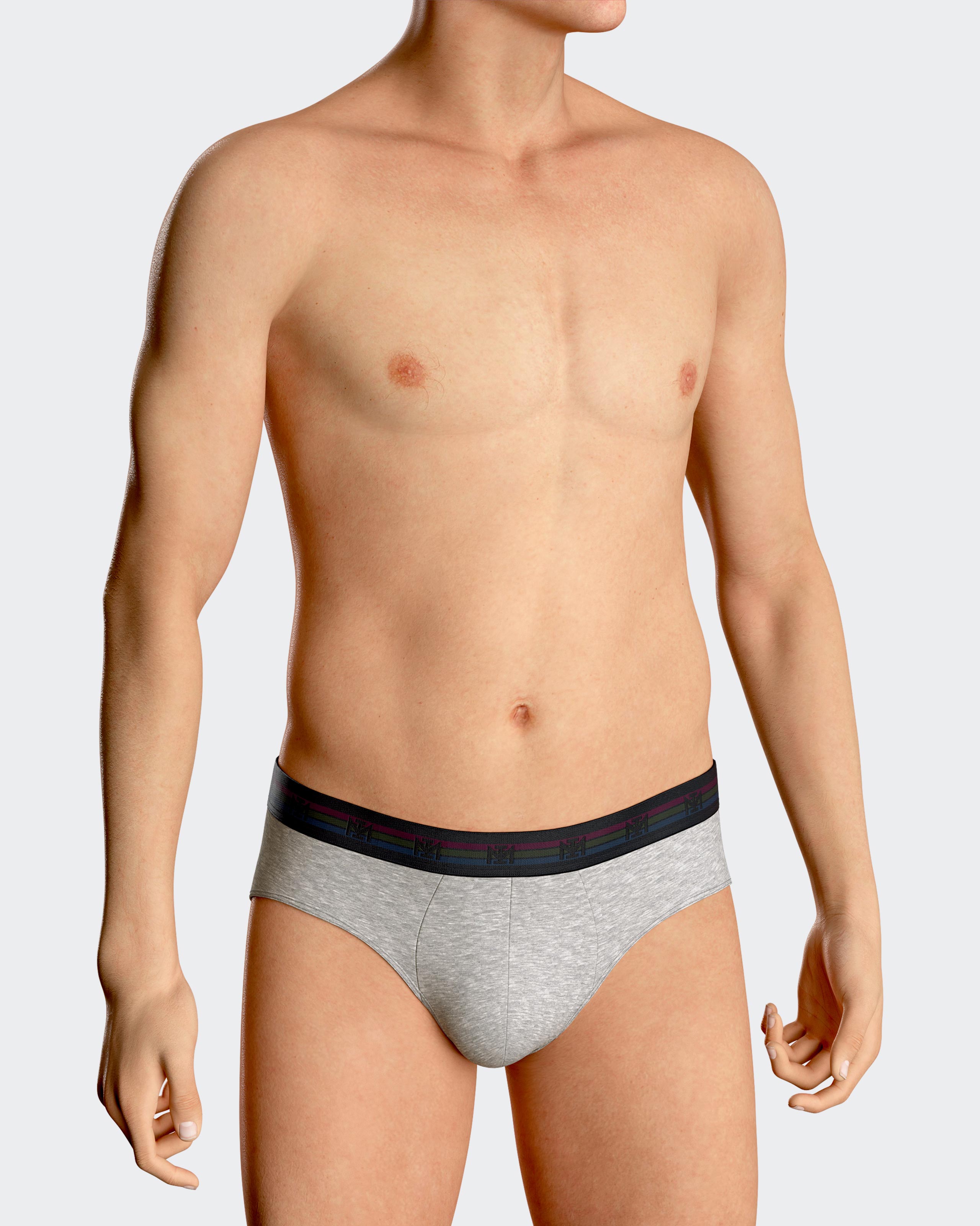 Pack de dois slips de homem lisos em Algodão