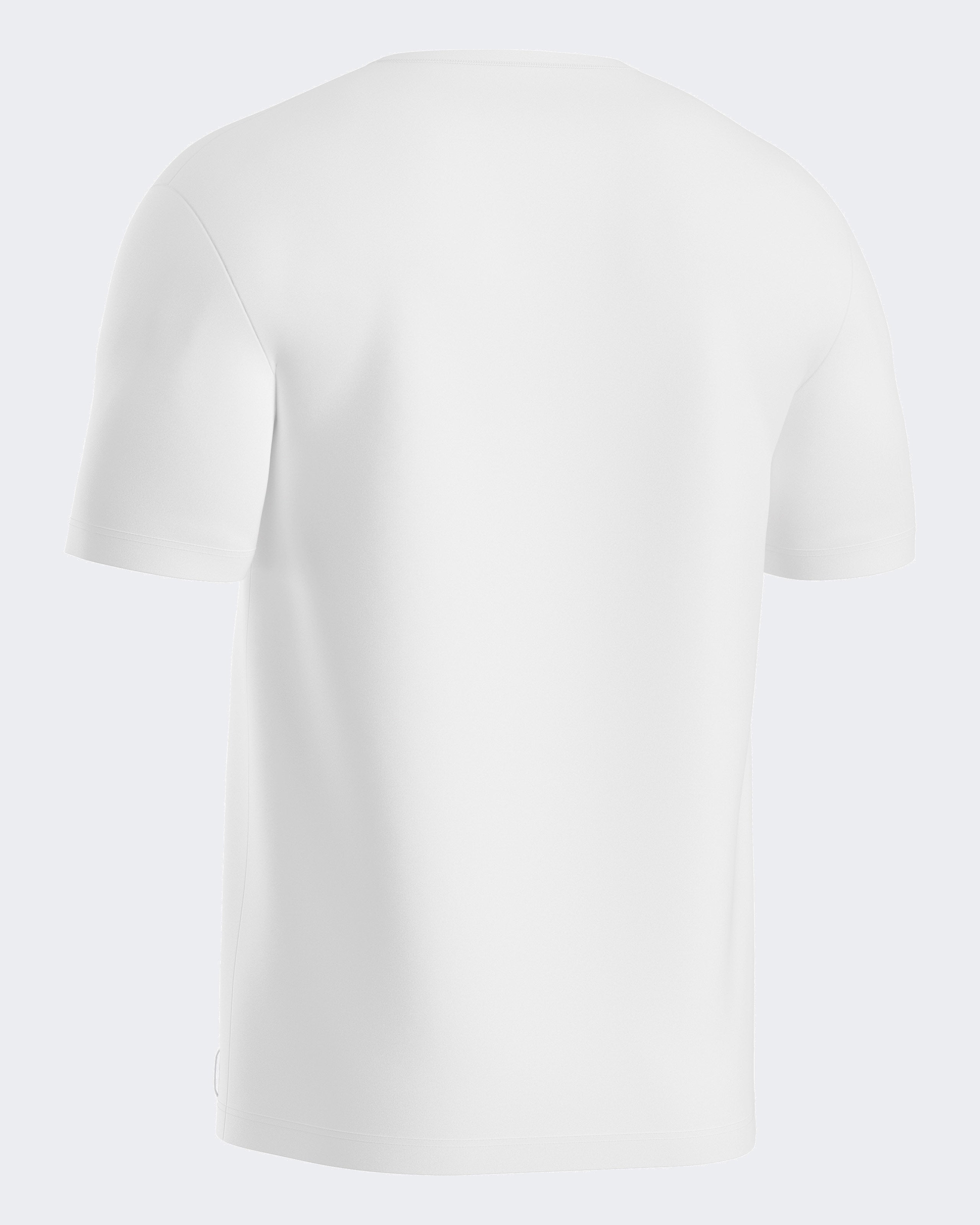 Pack 2 man's T-shirts Bio Cotton