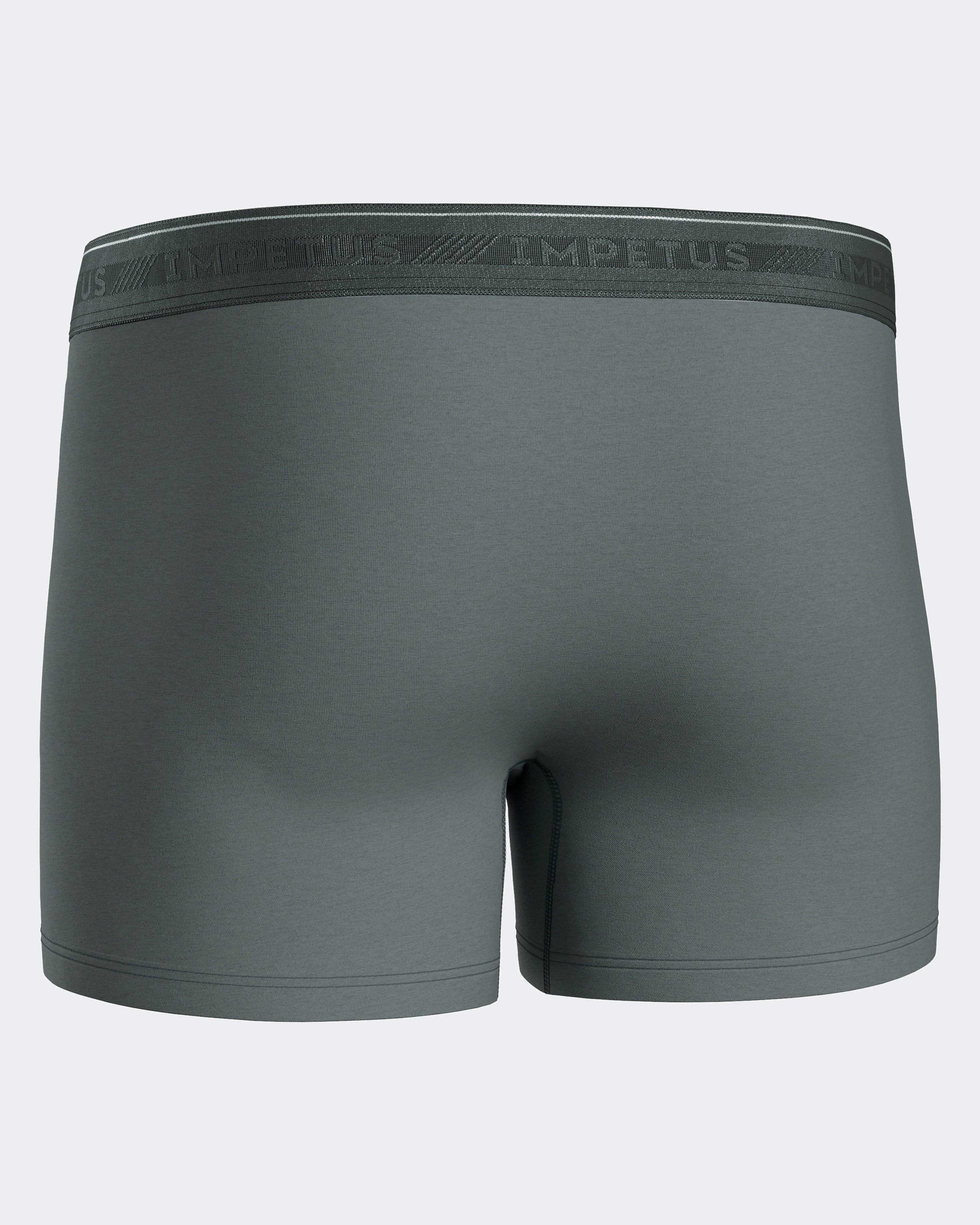 Pack 3 man's boxers Bio Cotton